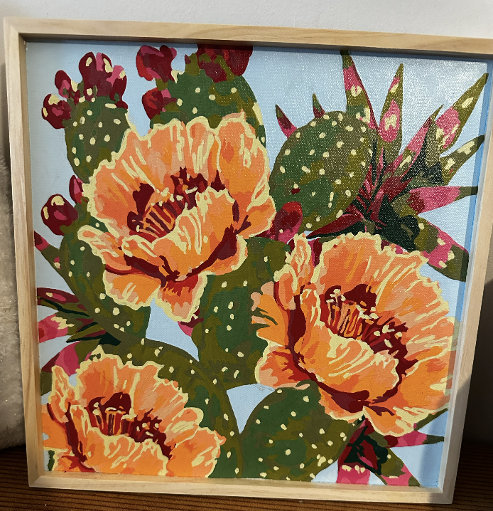 paint by number - Desert Flowers