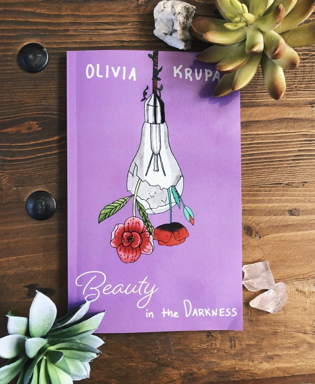 Beauty in the Darkness (signed paperback copy)