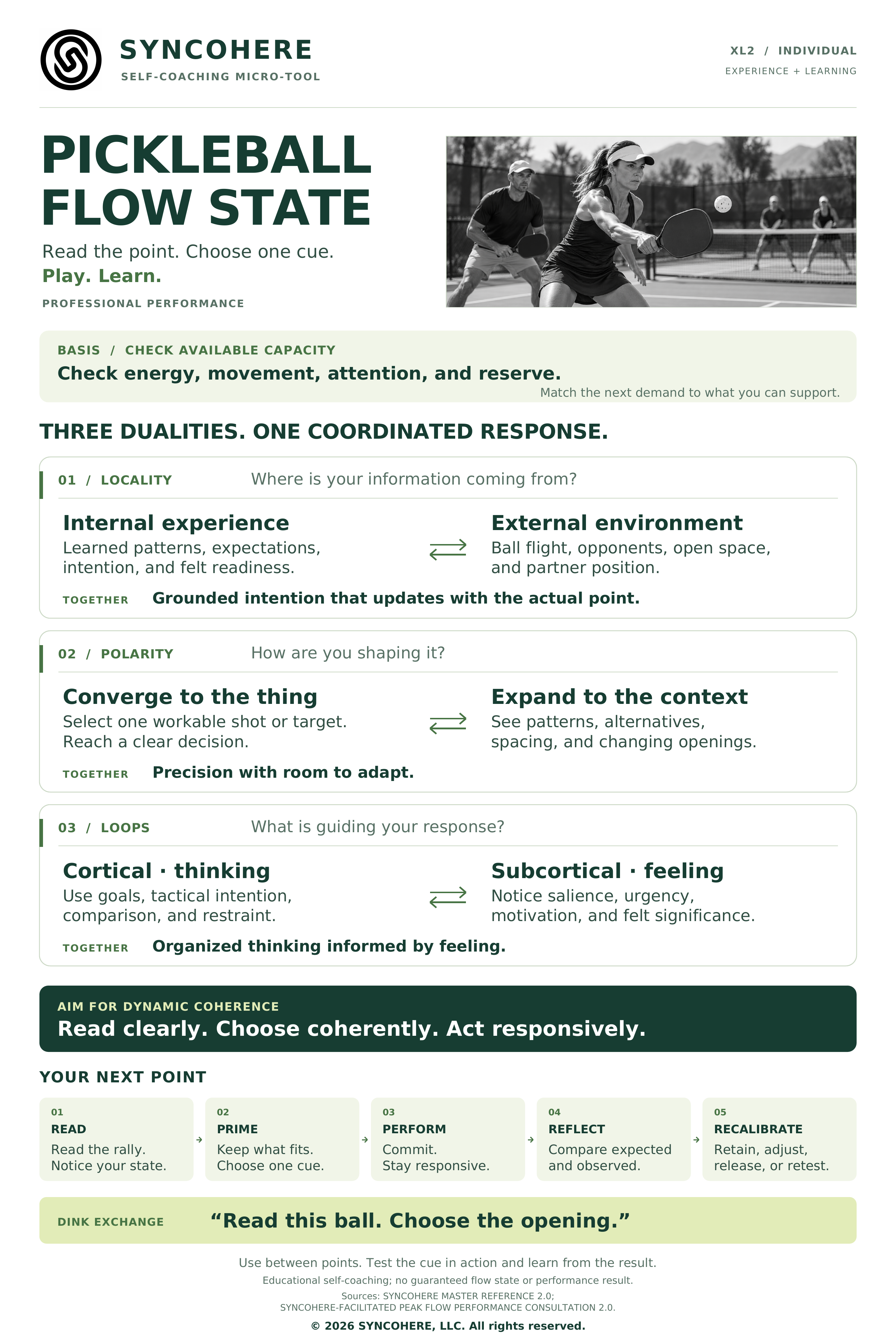 PICKLEBALL FLOW STATE INFOGRAPHIC.png