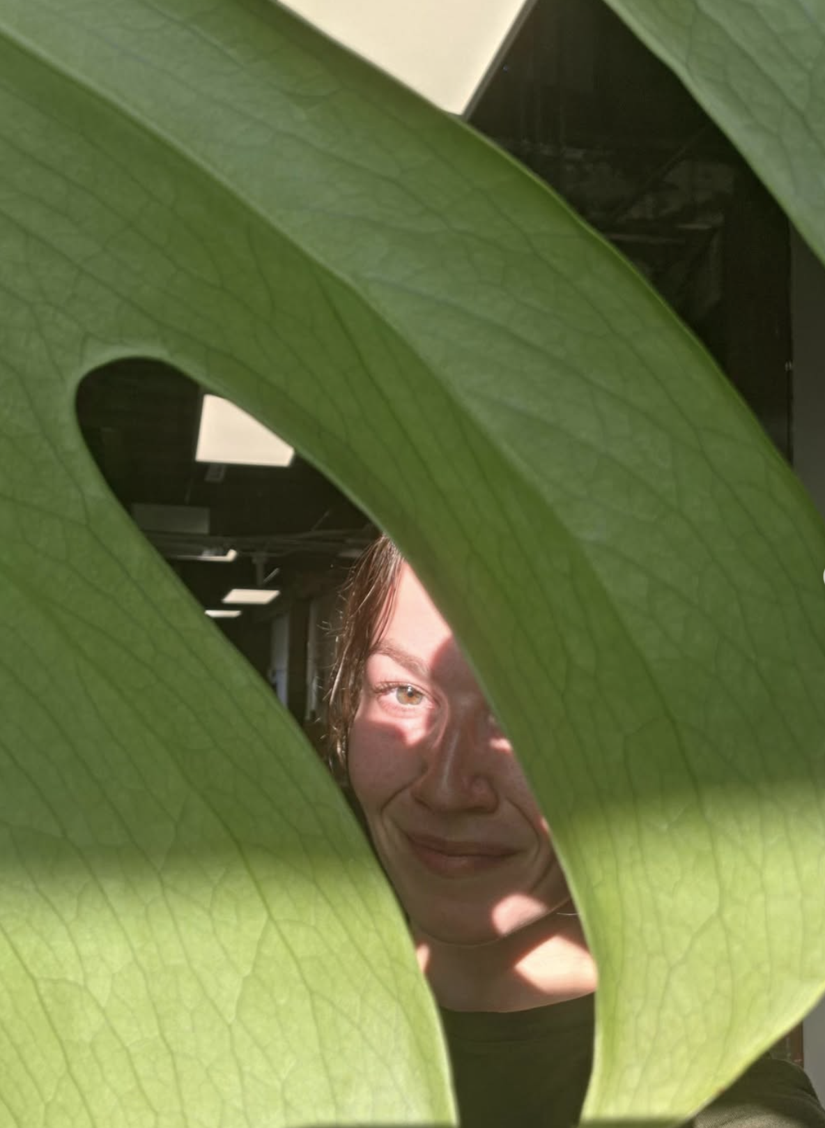 A person with light brown hair and freckles is smiling behind large green leaves, with sunlight highlighting part of their face.