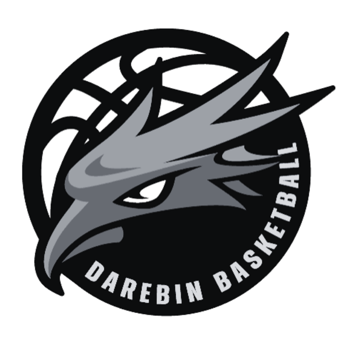 Darebin Basketball
