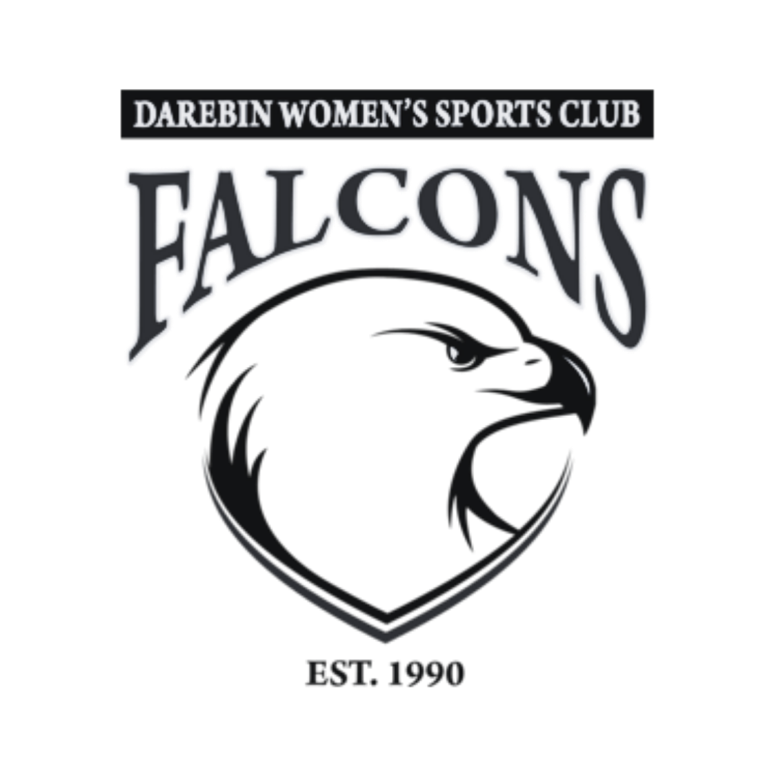 Falcons logo
