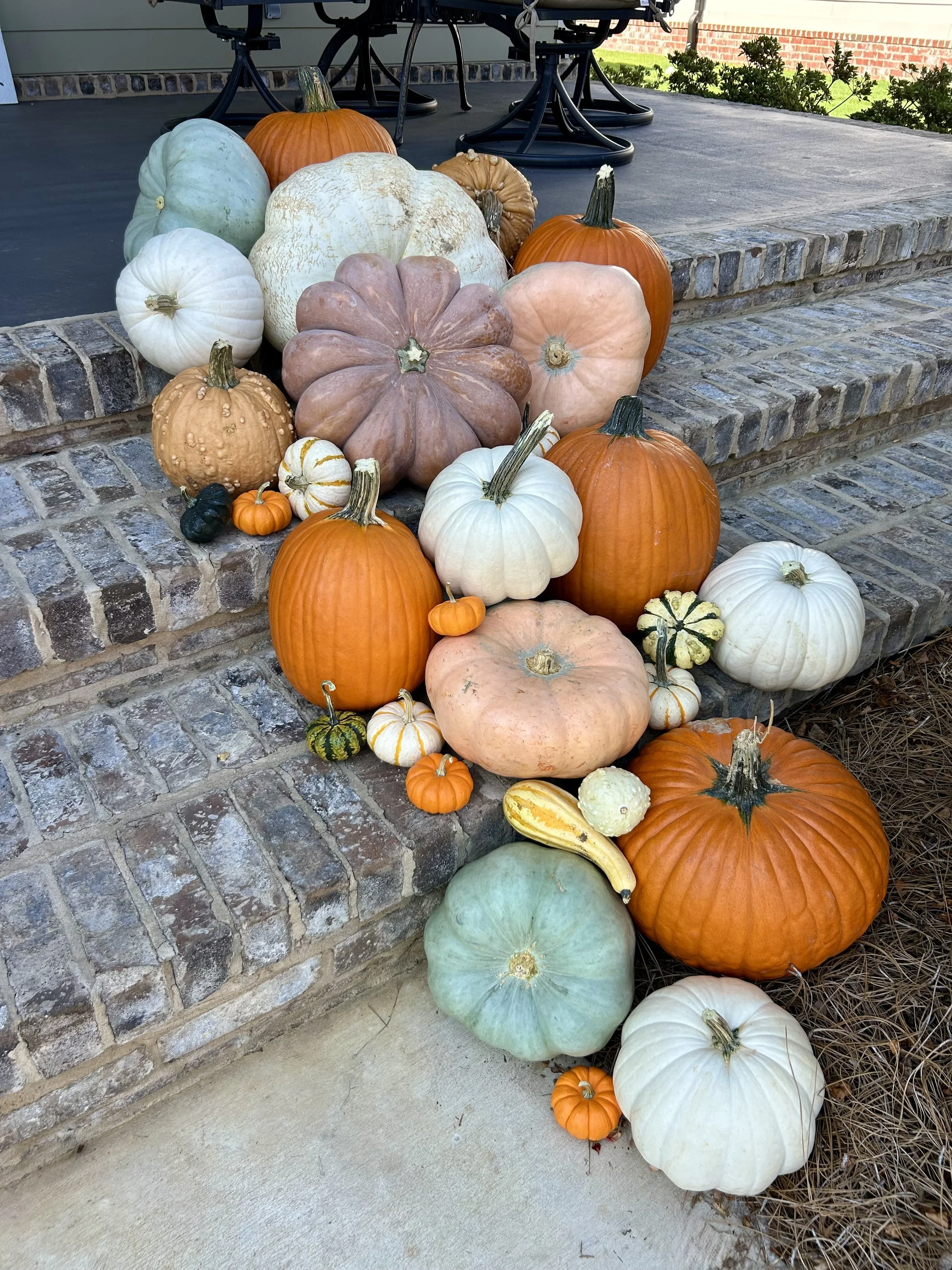 A variety of pumpkins in different colors, shapes, and sizes arranged on a brick step outside a house. The pumpkins are white, orange, green, pink, and striped, with some small decorative gourds included.