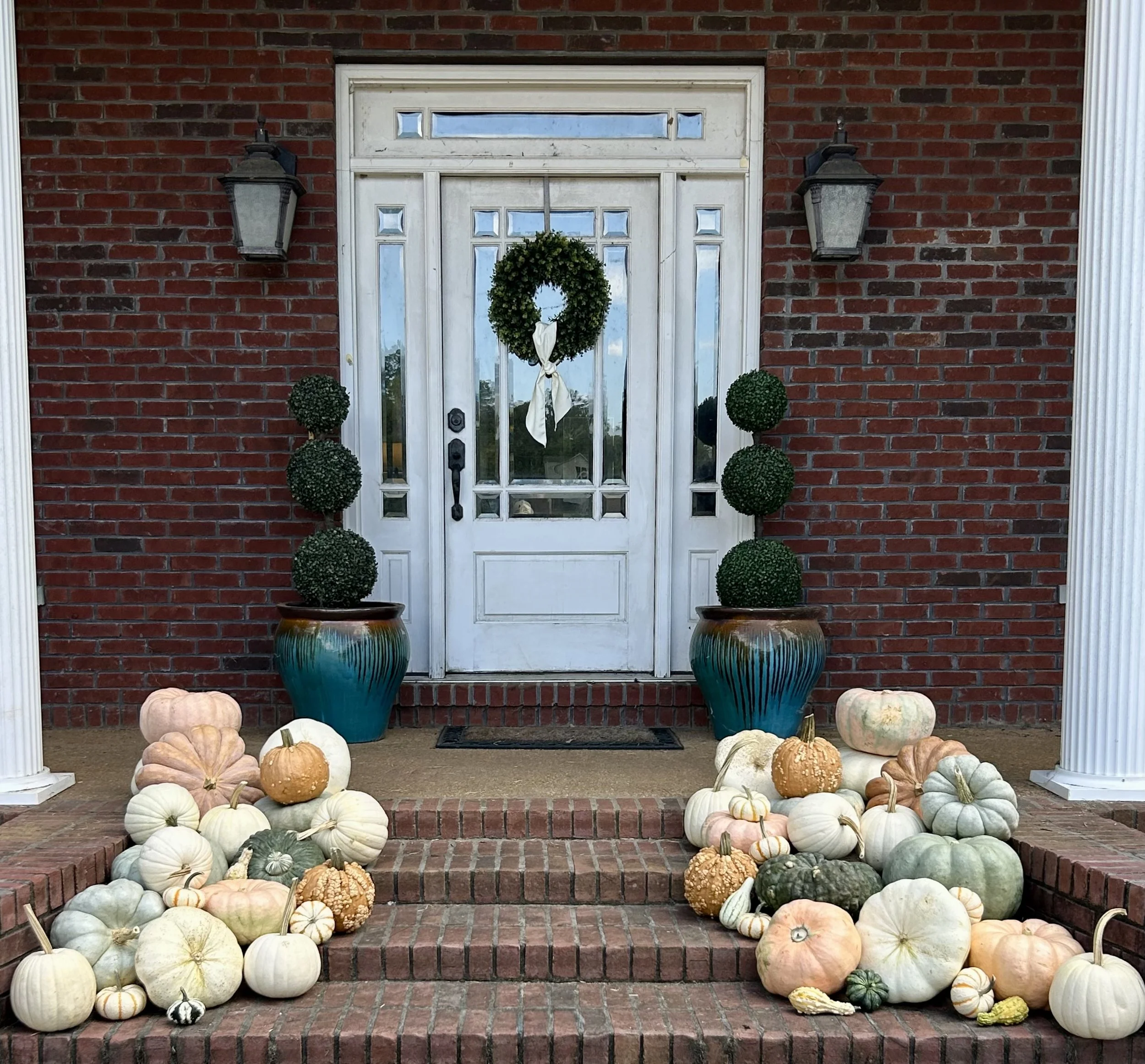 pumpkin to talk about