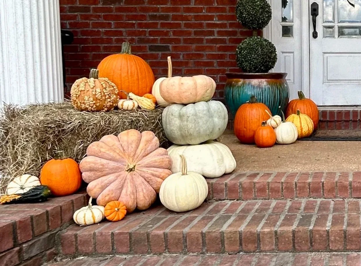 Arrangement of pumpkins and gourds of various sizes and colors on a brick porch, with hay bales and a ceramic pot with plants in the background.