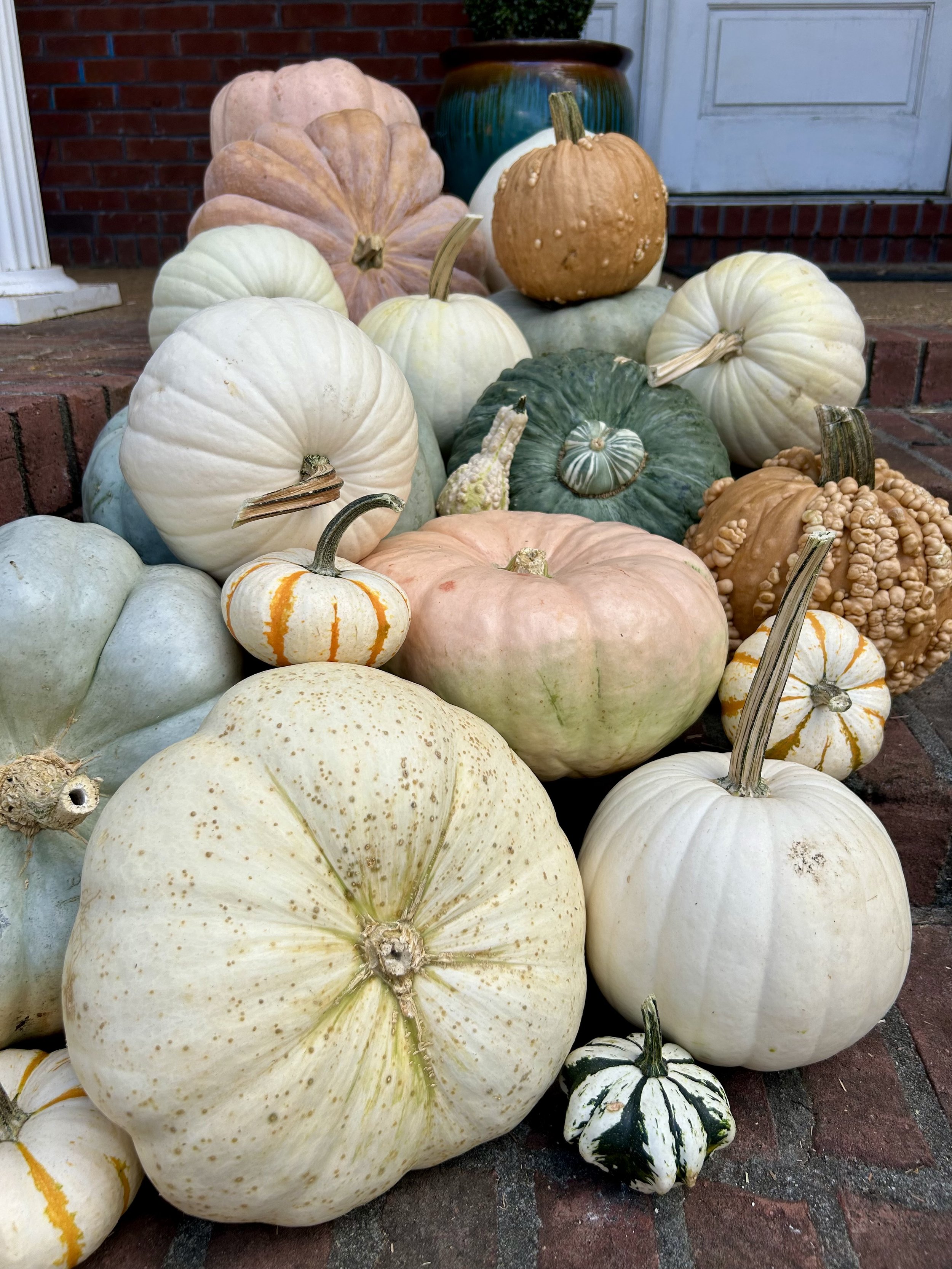 let the gourd times roll