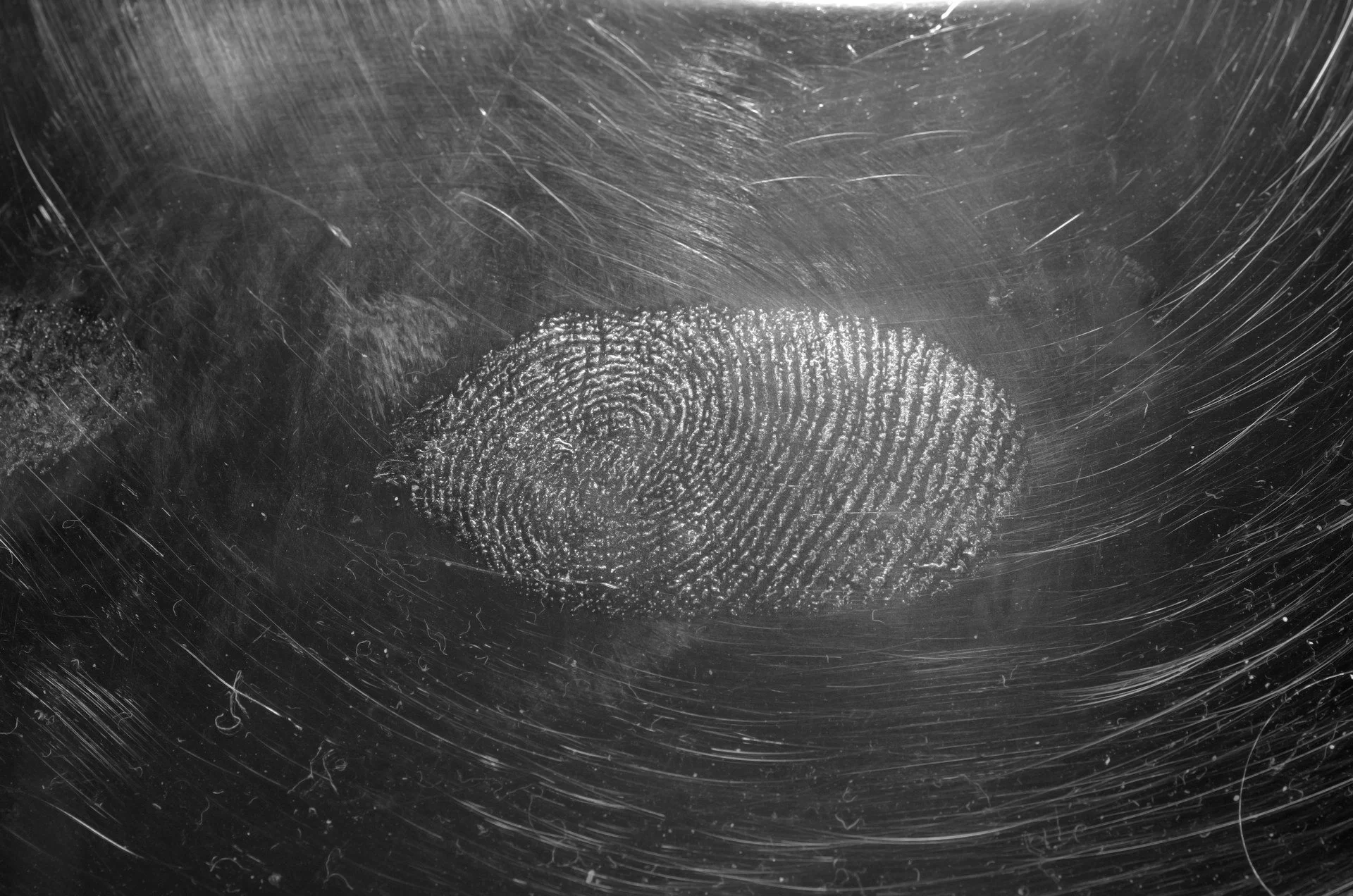 Your Fingerprints Are in Their System. Should You Be Worried?