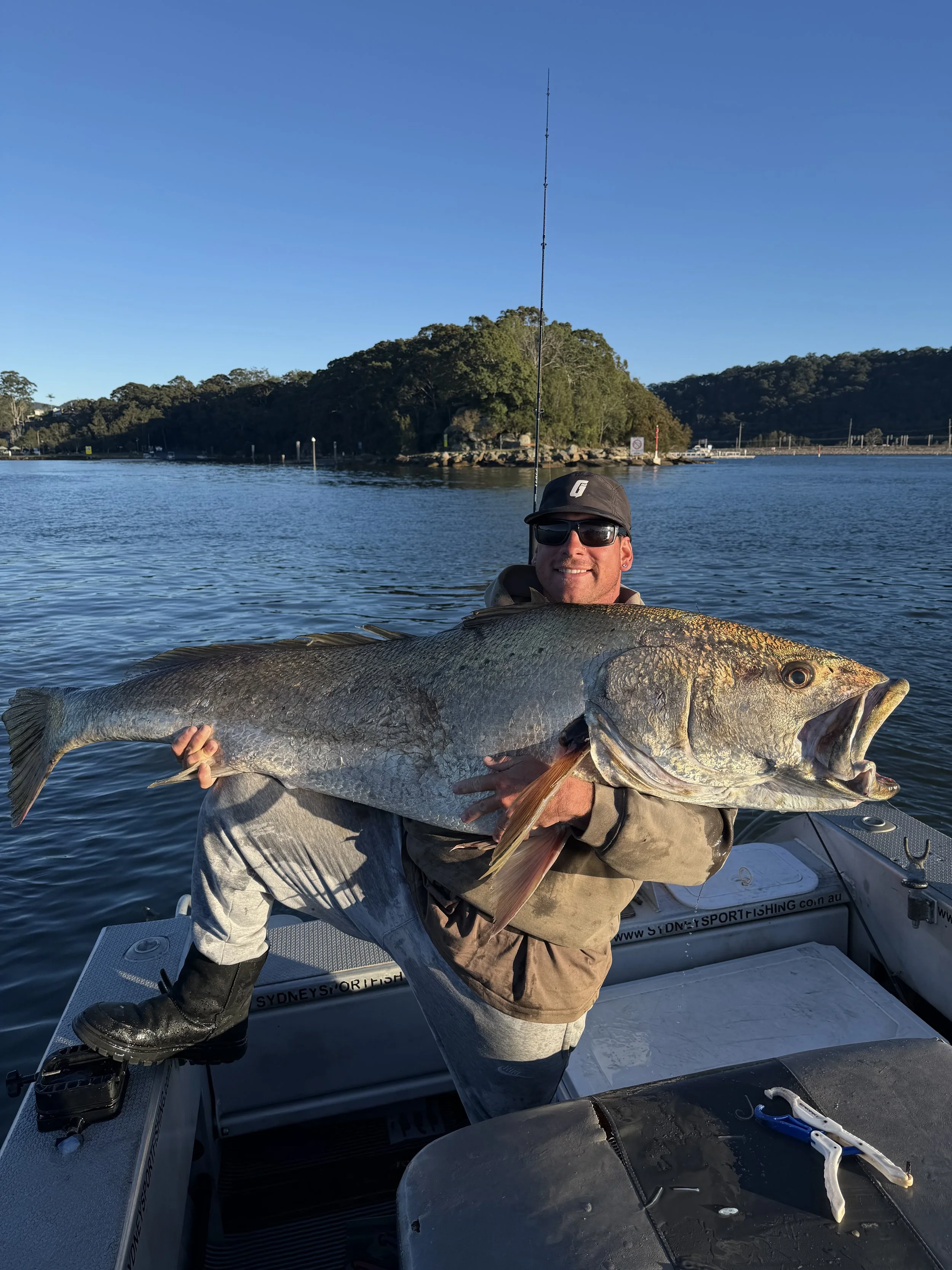 A man wearing sunglasses and a cap is on a boat, holding a large fish with silver, gray, and yellowish coloring. The background shows calm water, trees, and a clear blue sky.