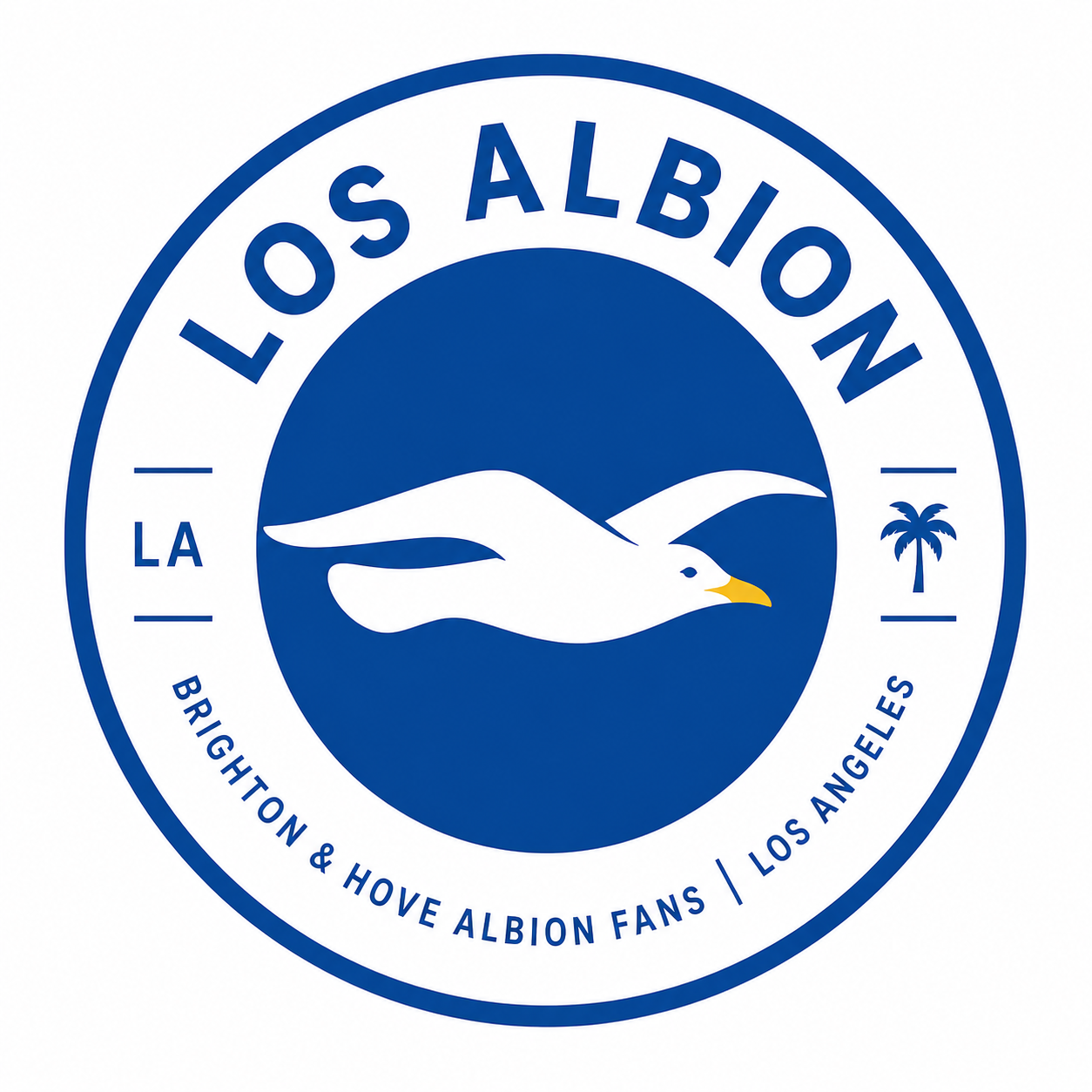 Brighton vs Aston Villa