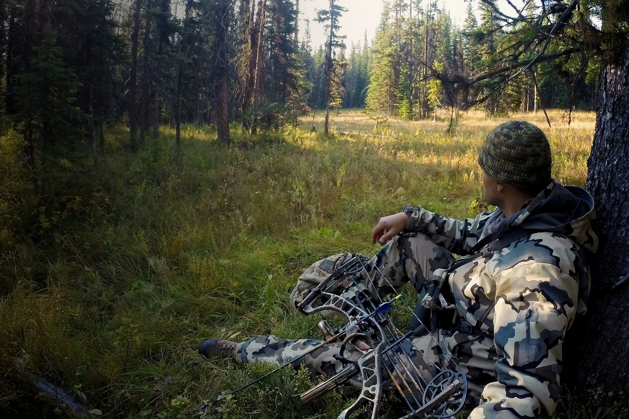 A person wearing camouflage clothing and a beanie hat sitting against a tree in a dense forest, holding a climbing bow and surrounded by tall trees and green grass.