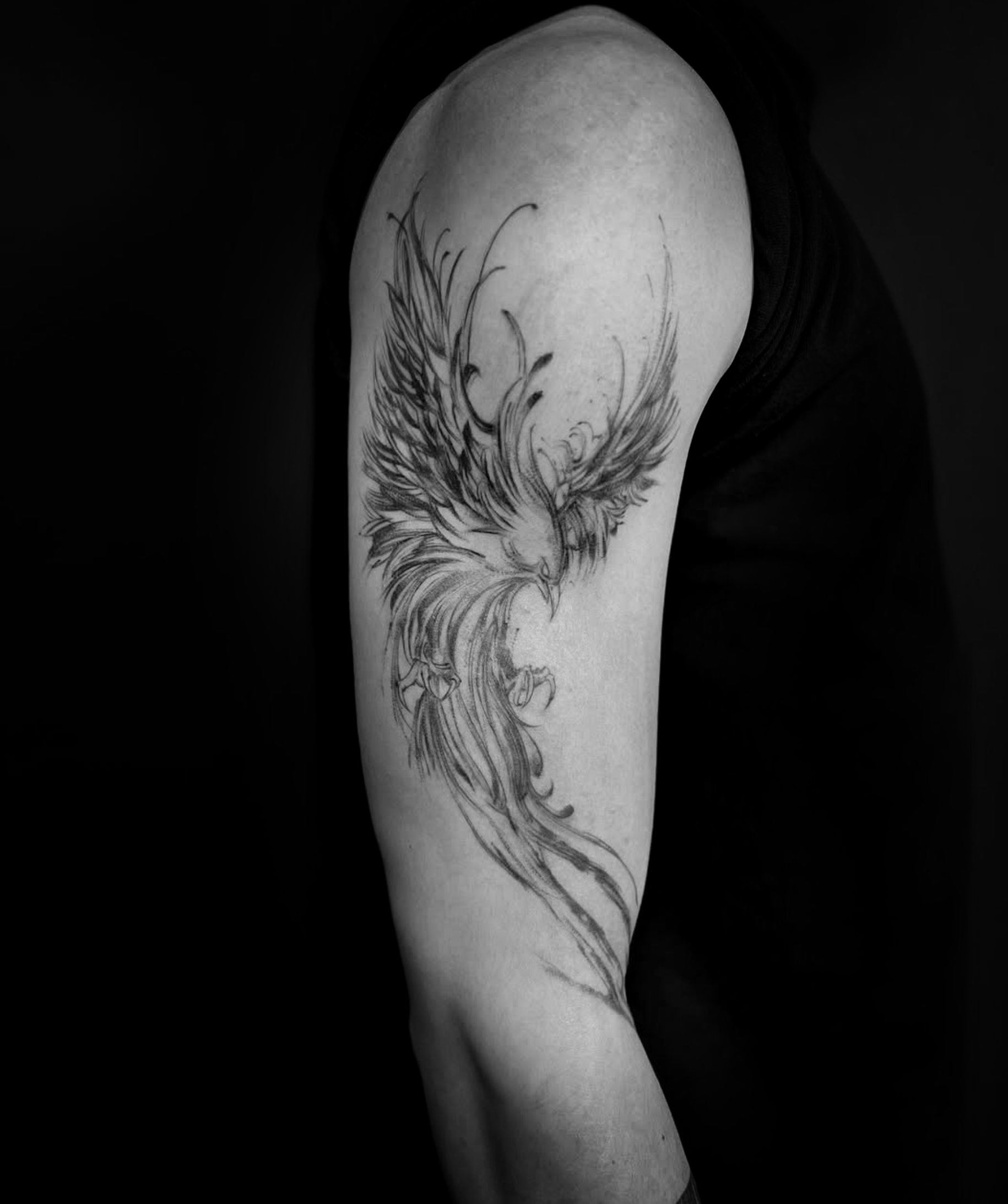 Black and white photograph of a person's upper arm showcasing a tattoo of a stylized phoenix with detailed feathers and flowing tail.
