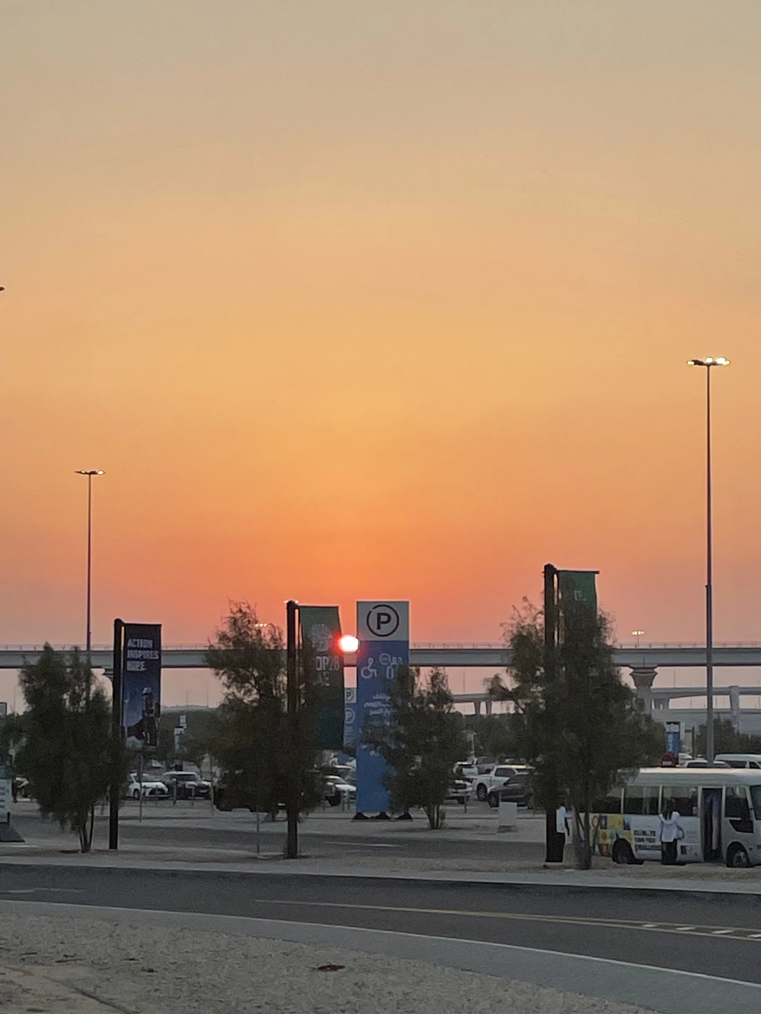 IMG_1645.jpg