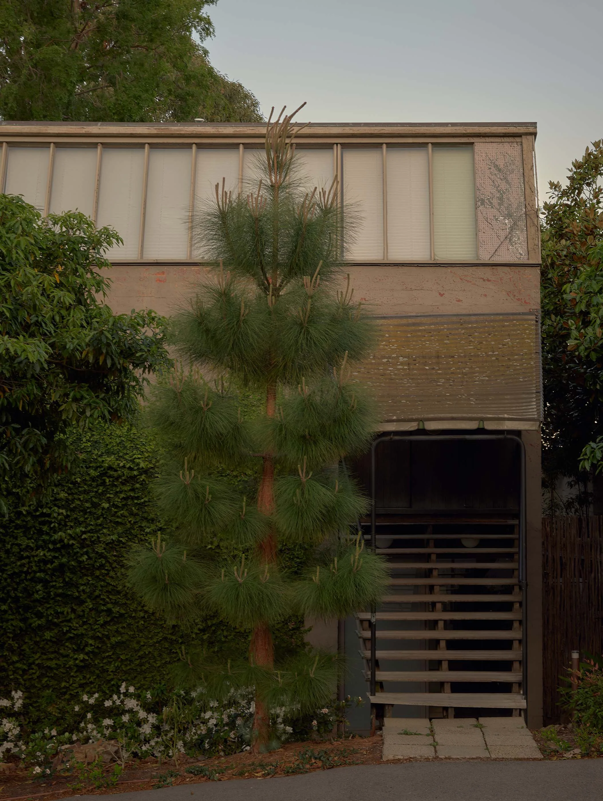 Exterior of a building with large windows, a staircase leading to an upper floor, trees and bushes in front, including a small pine tree, and a paved walkway.