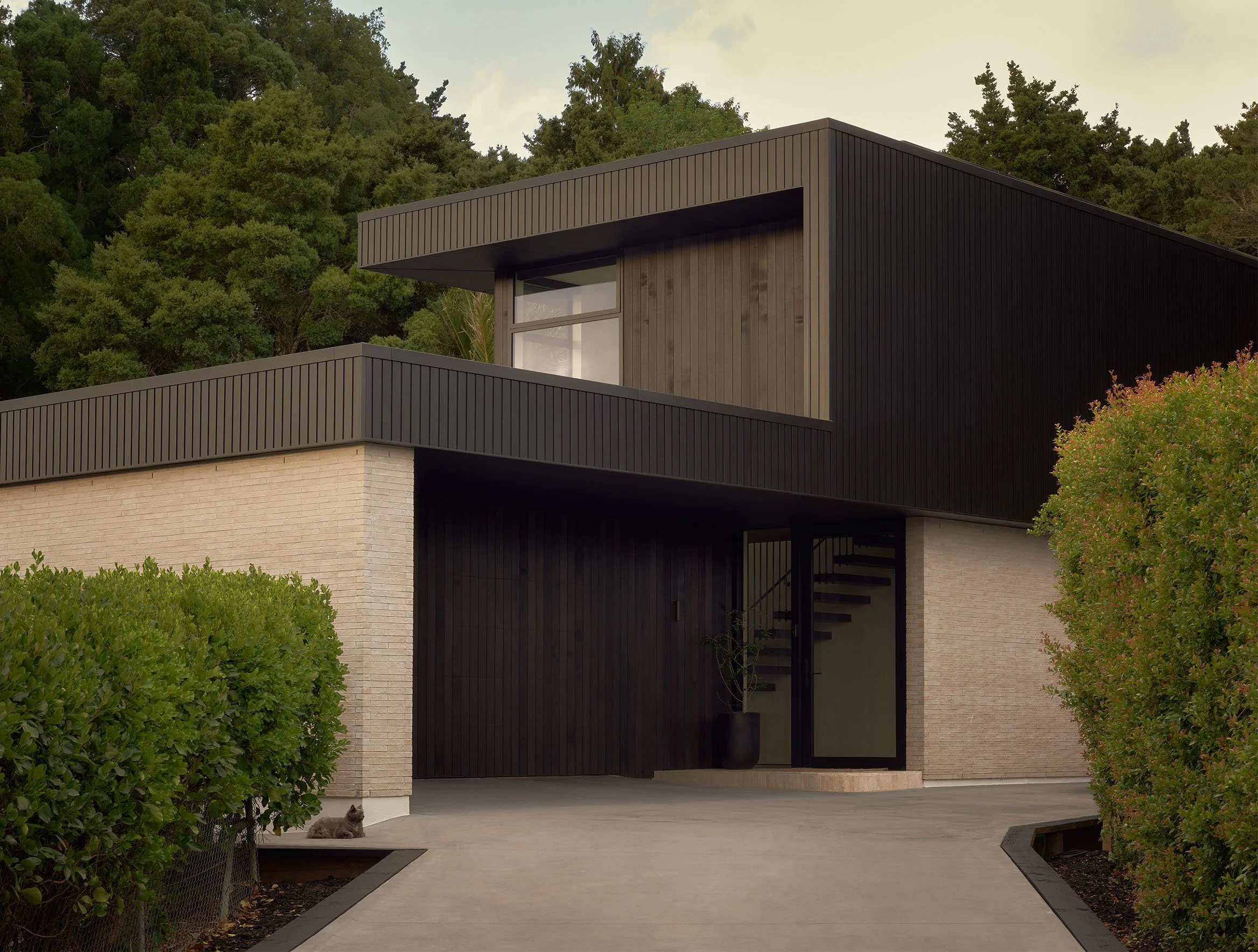 Modern house with black and beige exterior, large windows, surrounded by trees and greenery, with a small cat sitting on the driveway.