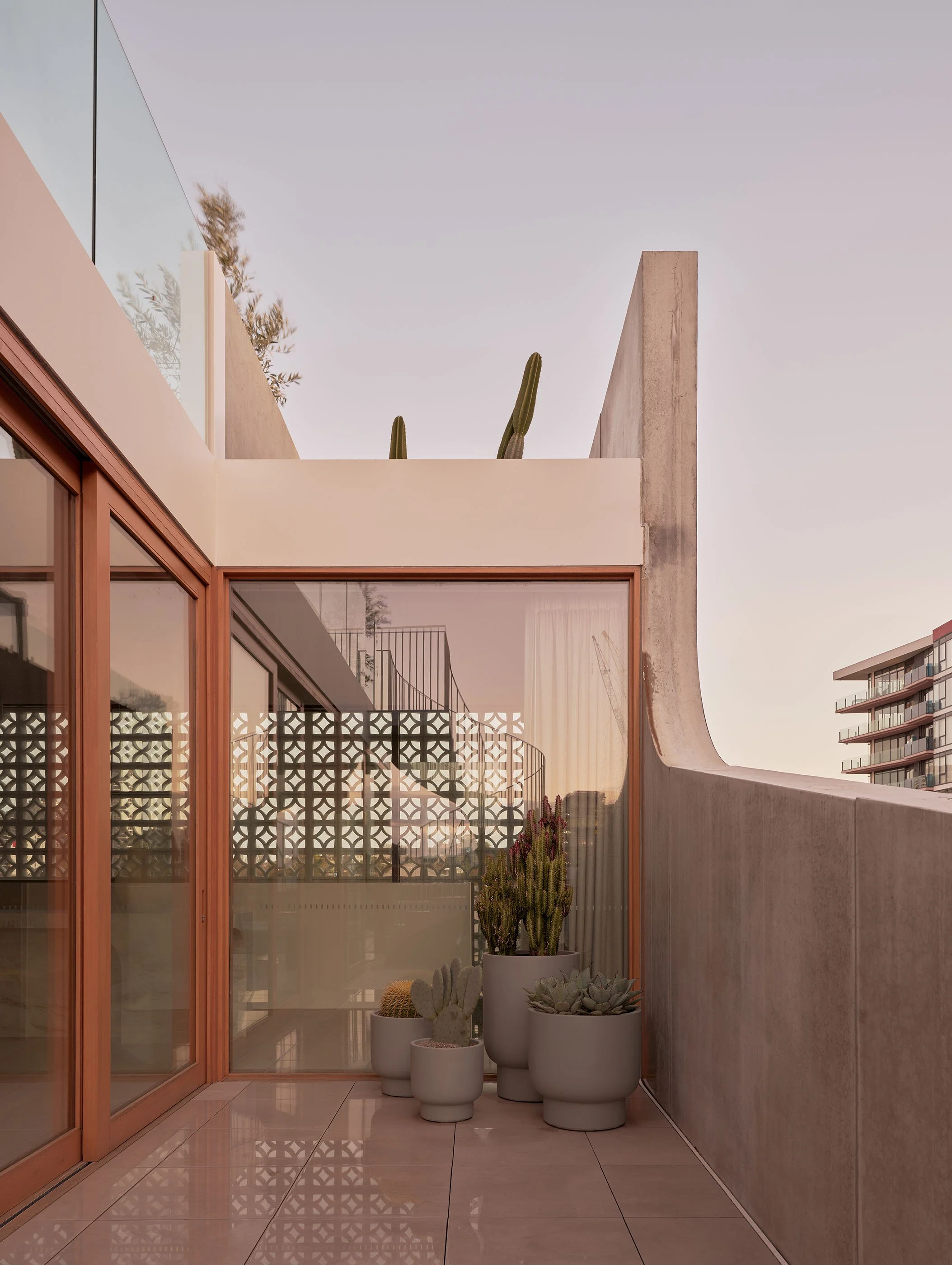 Balcony with potted cacti and succulents, glass railing, and modern architectural design.