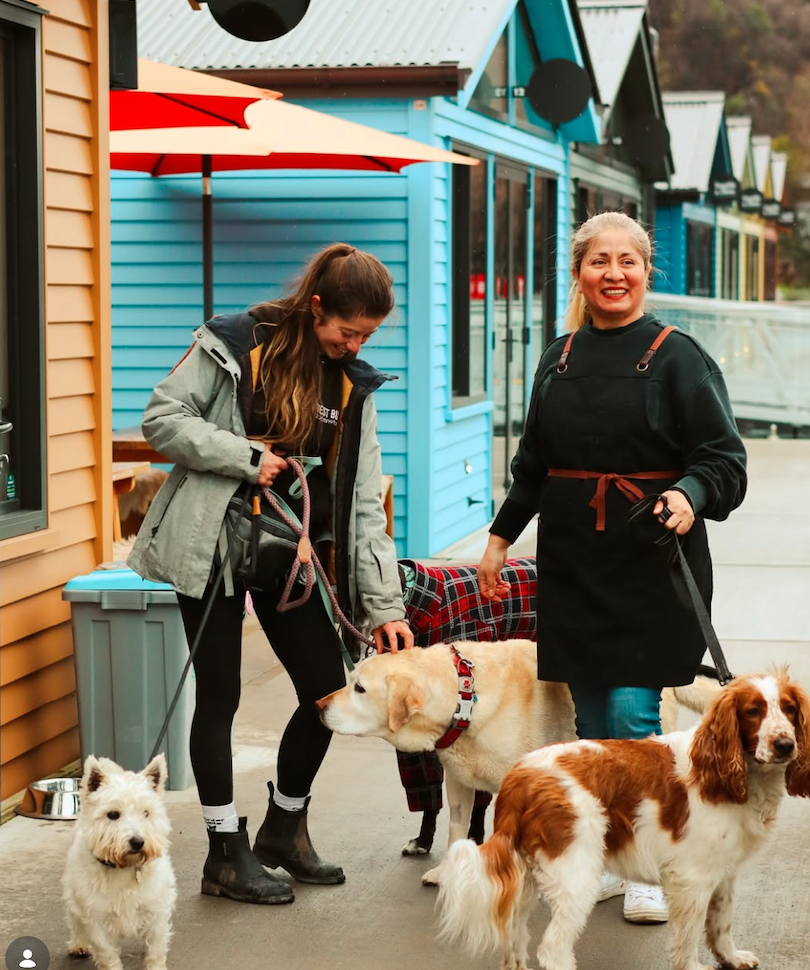 Dog Friendly