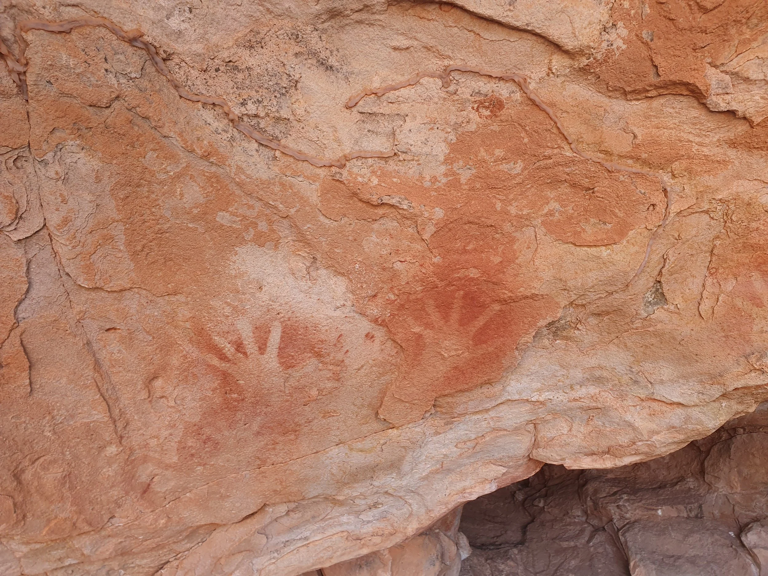 Close-up view of reddish-brown layered sandstone rock surface.