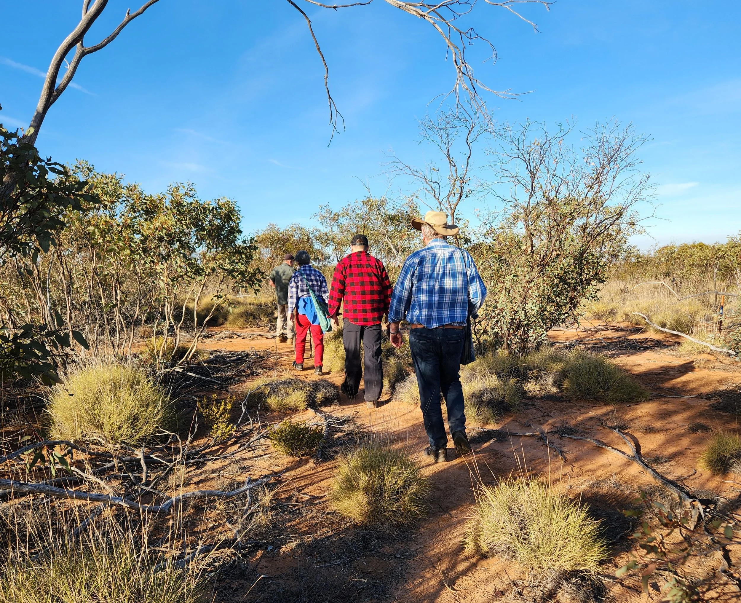 bush food hike 2.jpg