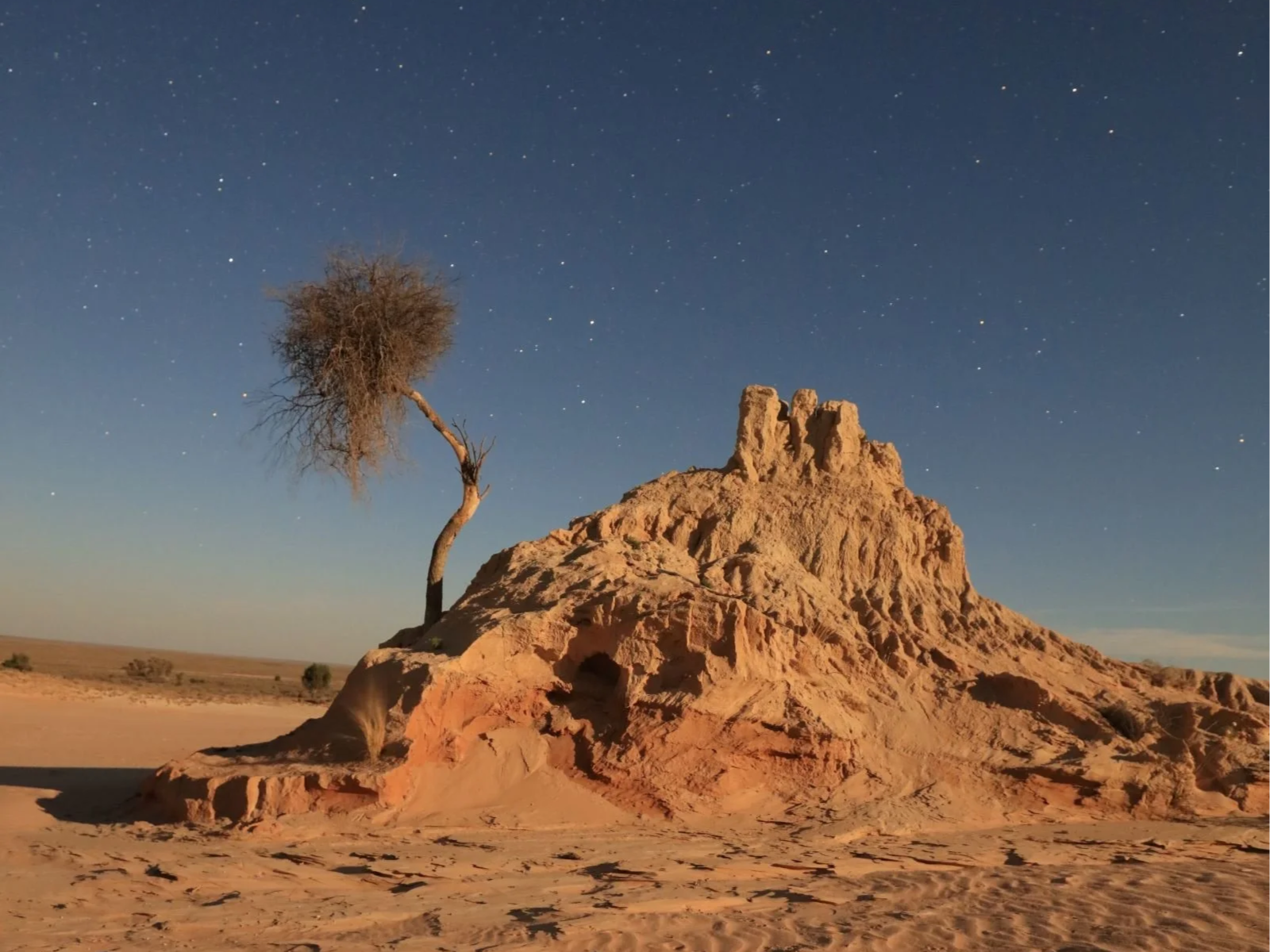 A lone, leafless tree leaning on a mound of reddish sand and rock in a desert landscape under a starry night sky.