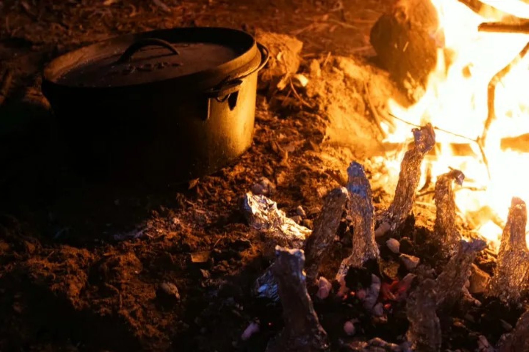 cultural dinner campoven.jpg
