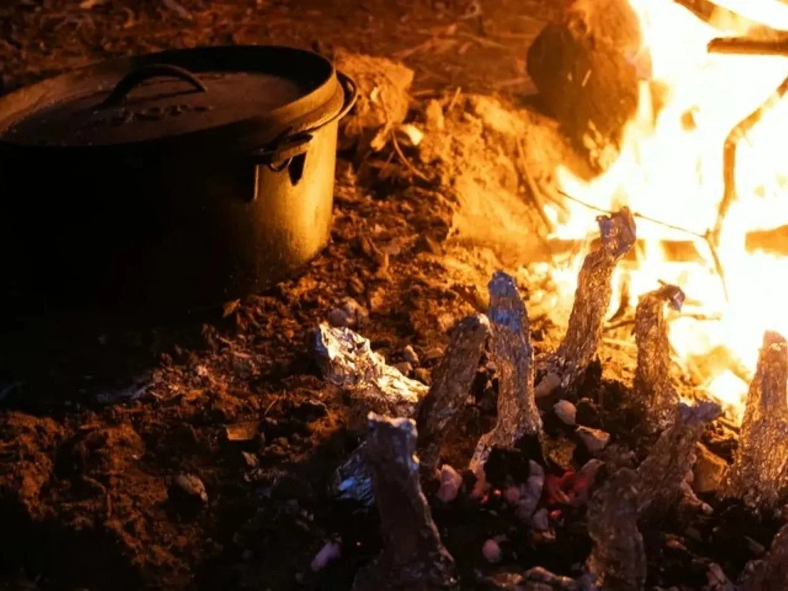 A campfire with burning logs and a black cast iron pot on the ground nearby.