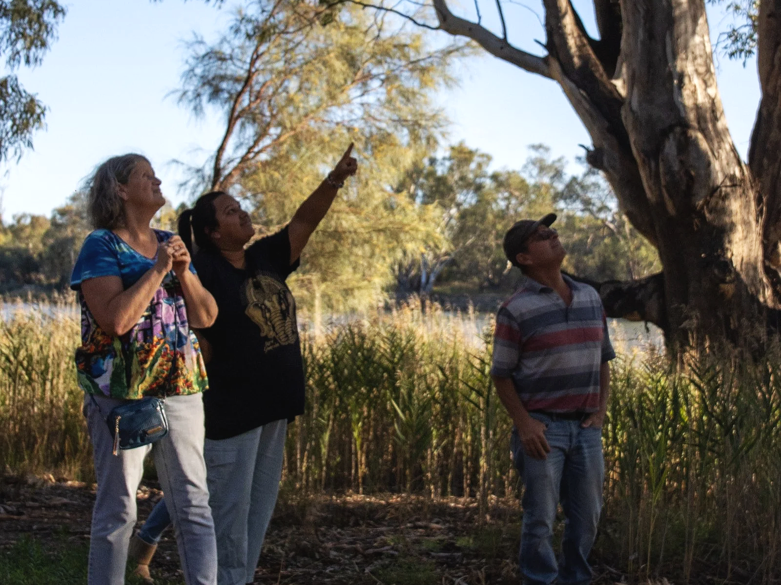 Three people, two women and one man, standing outdoors near a large tree, looking at the tree as one woman points upward, in a natural setting with trees and water in the background.