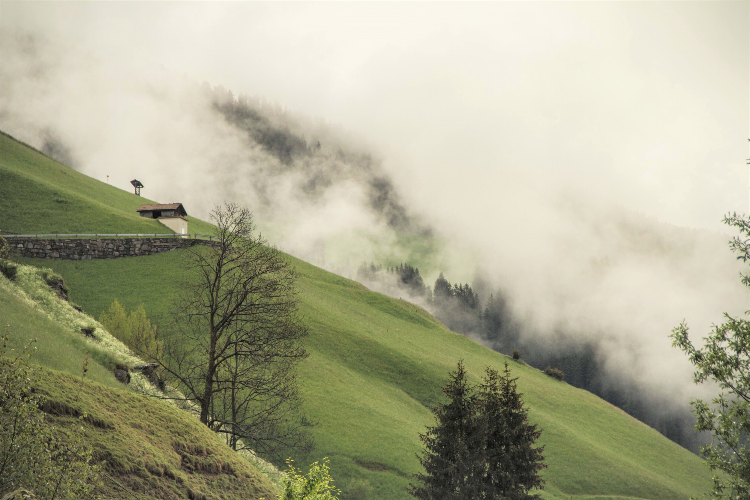 Grüne Hügel mit Bäumen, eine kleine Hütte und Nebel, der durch die Berge zieht.