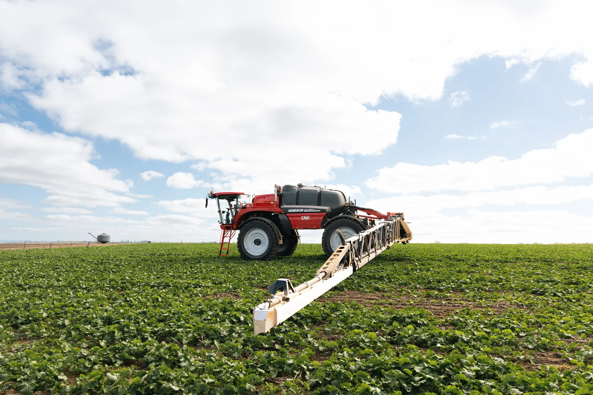 HORSCH self-propelled sprayer working in a green crop
