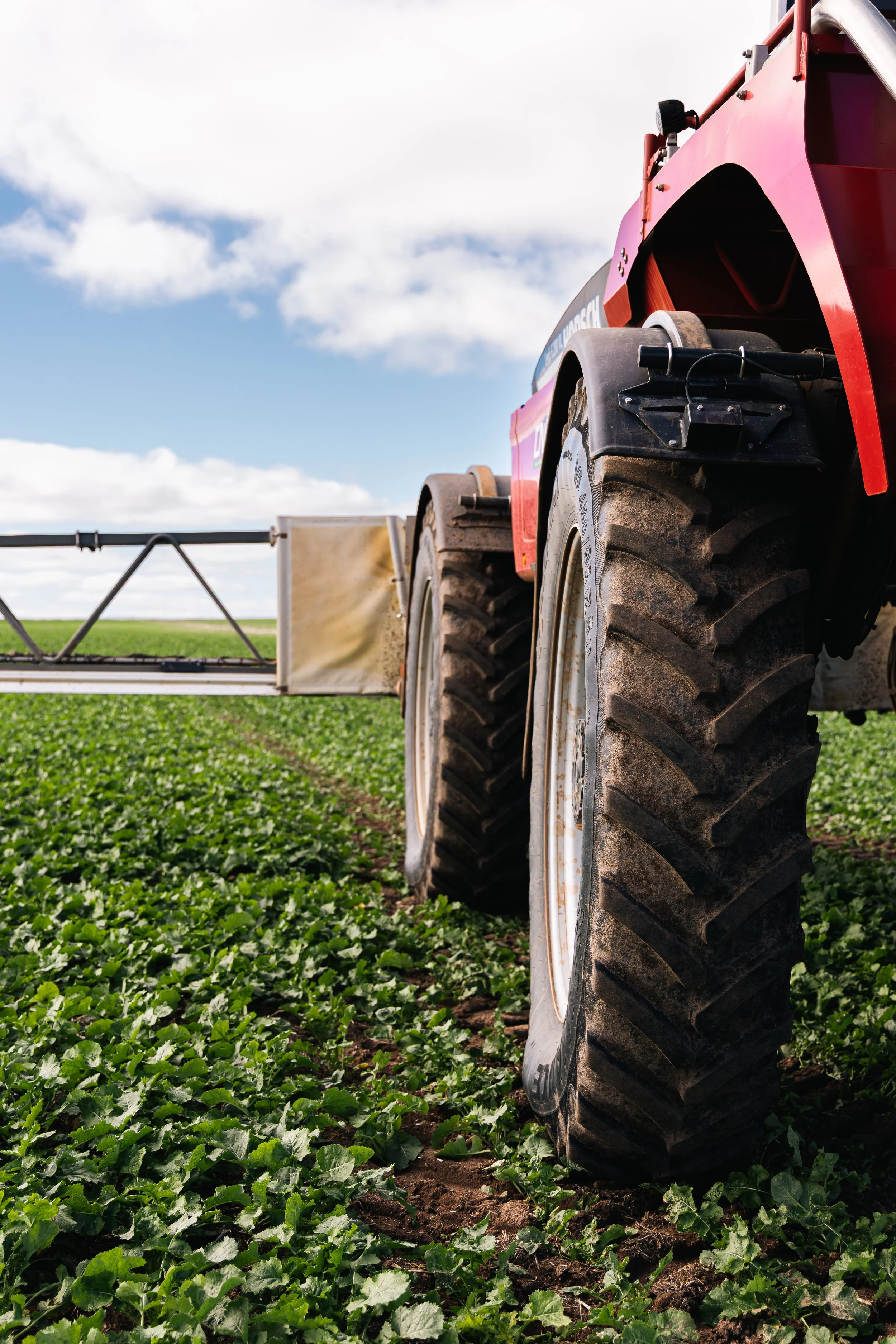Close-up of a HORSCH Leeb SP sprayer wheel in a green crop