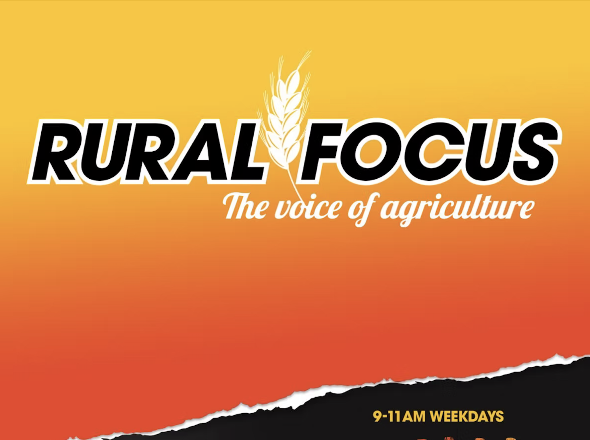 Rural Focus x CNE 19th November, 2024