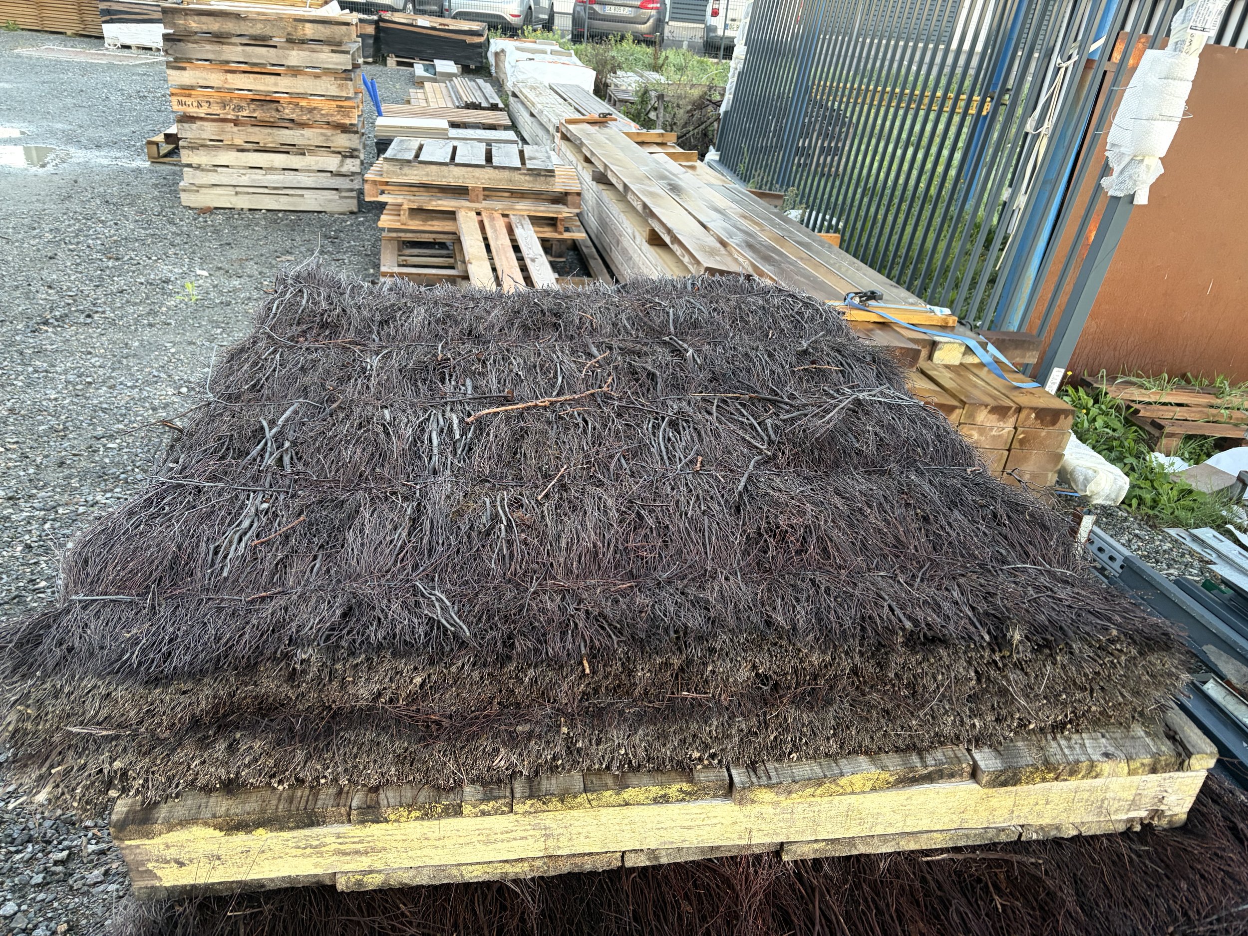 DESTOCKAGE - Brande de bruyère naturelle 15 kg/m2, H.1 ,25x L.2 m