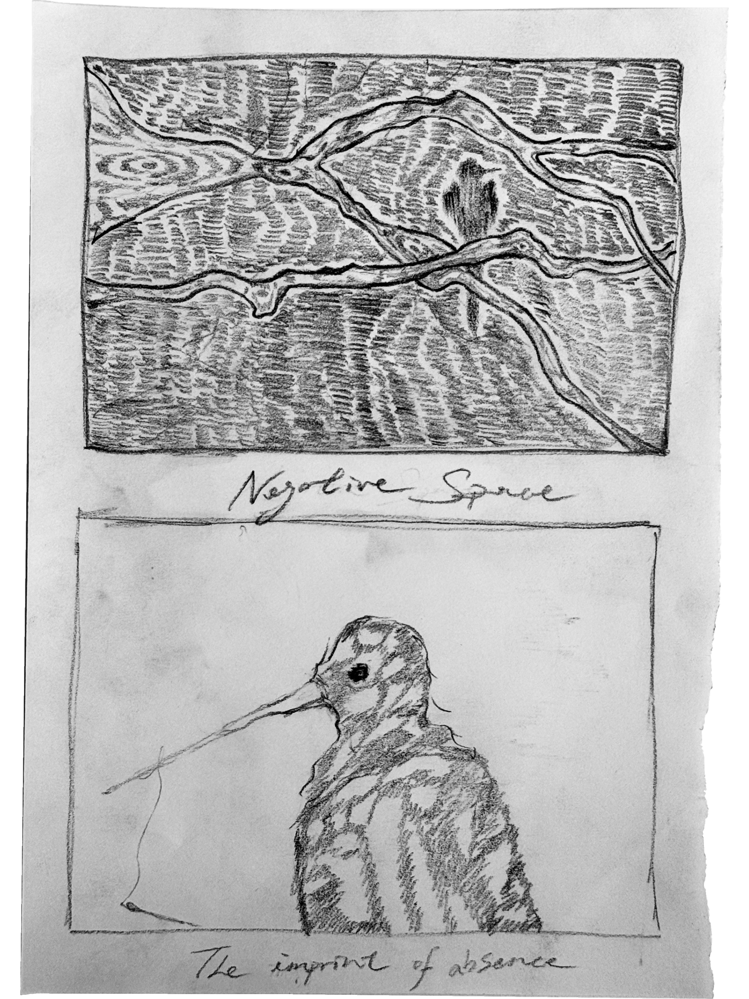 Negative space & the imprint of absence