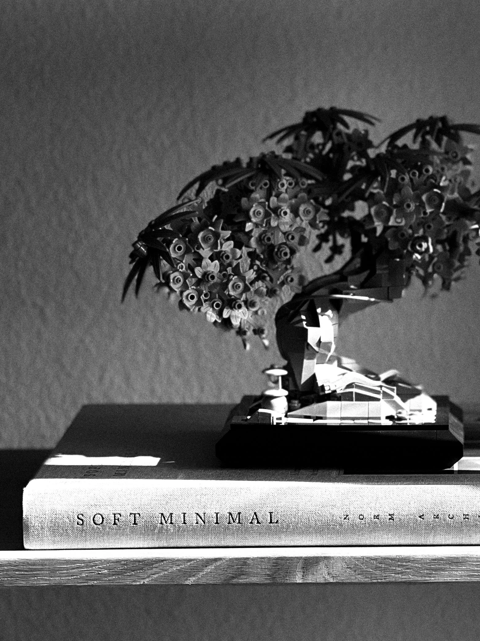 IMG_6156_BW_Detail.jpg