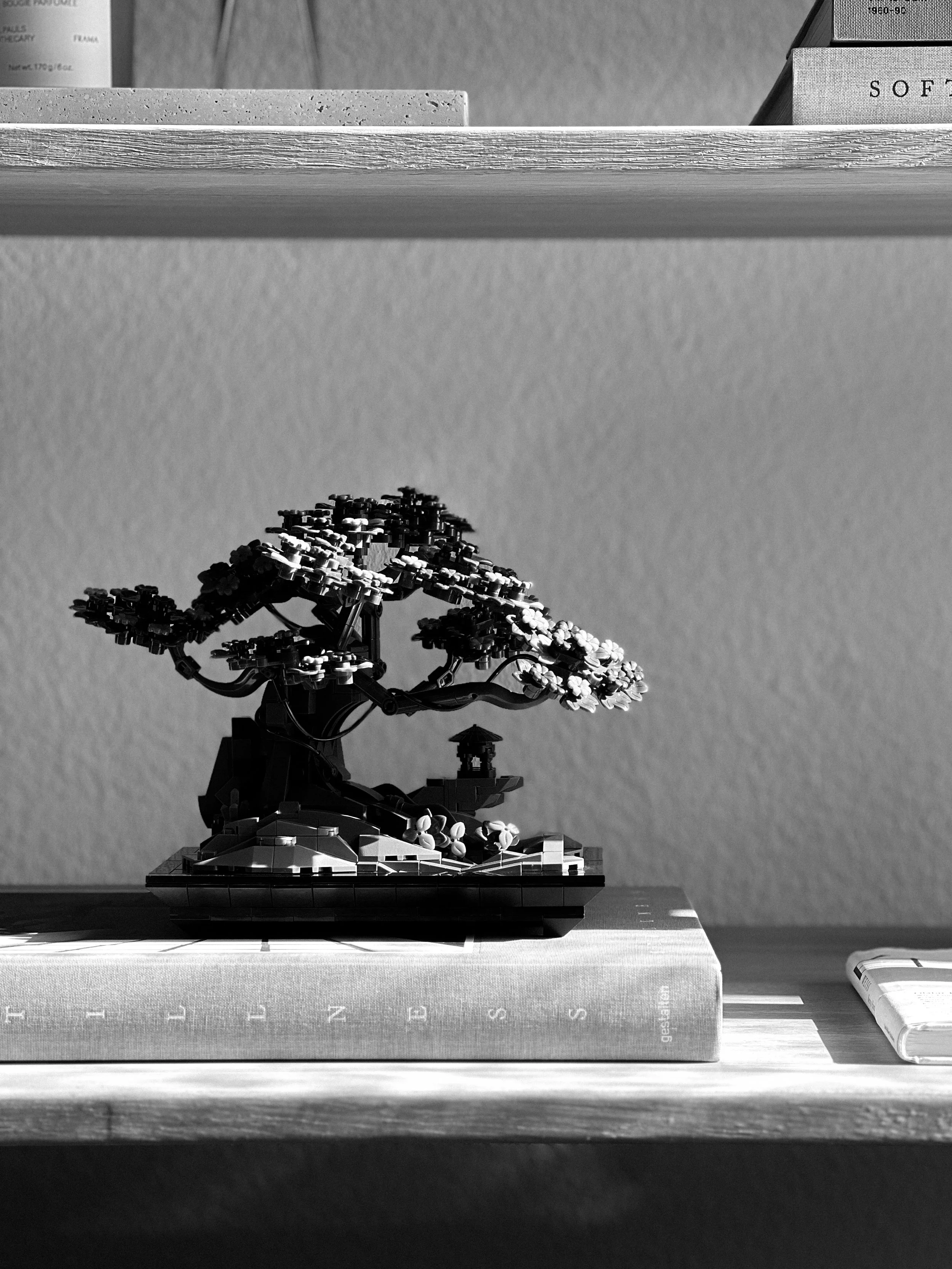 IMG_5181_BW.jpg