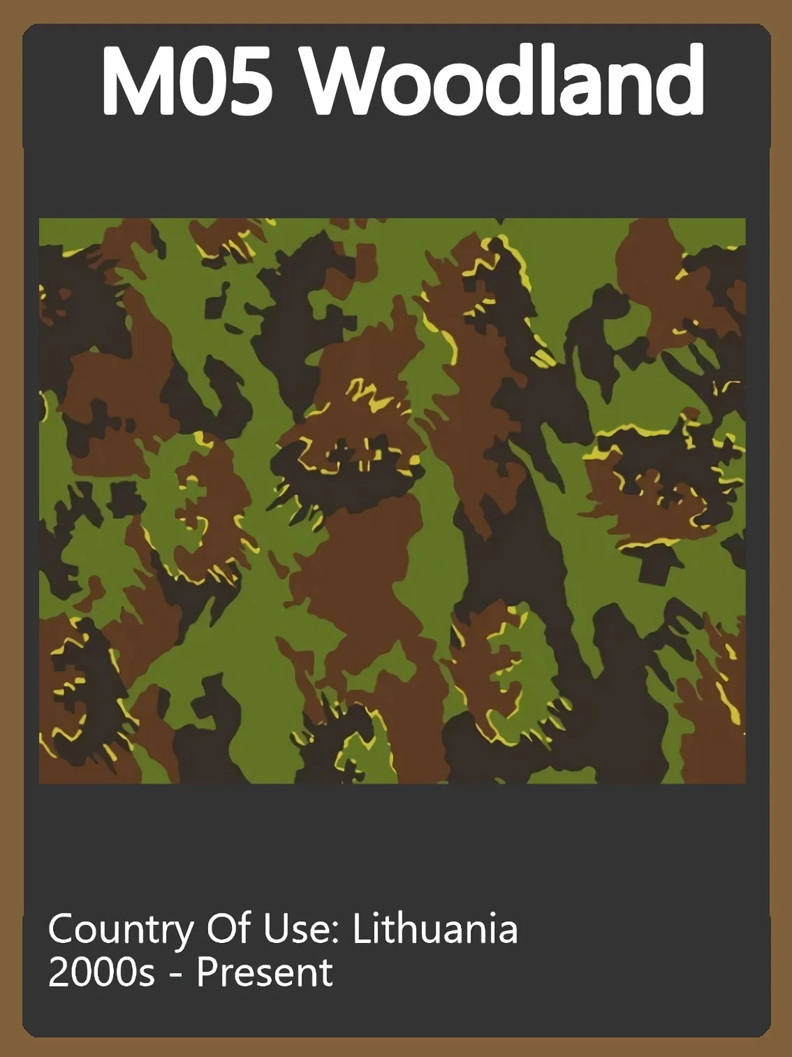 Lithuania Camo Swatch.jpg