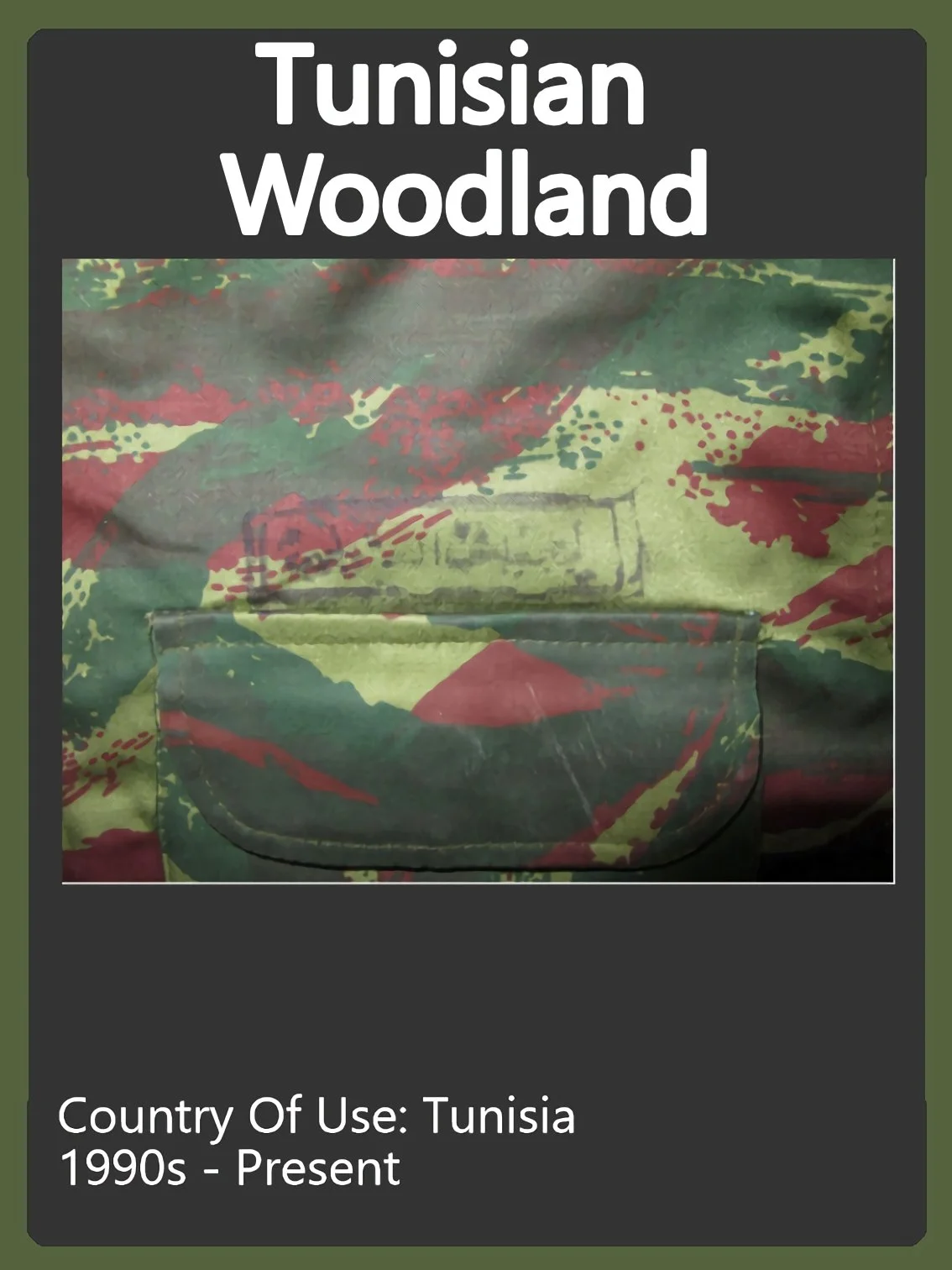 Tunisian Camo Swatch.jpg