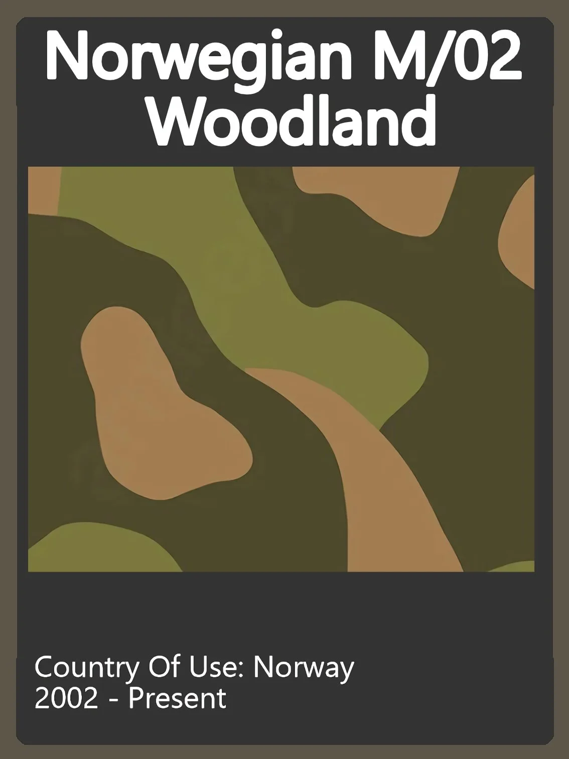 Norway Camo Swatch.jpg
