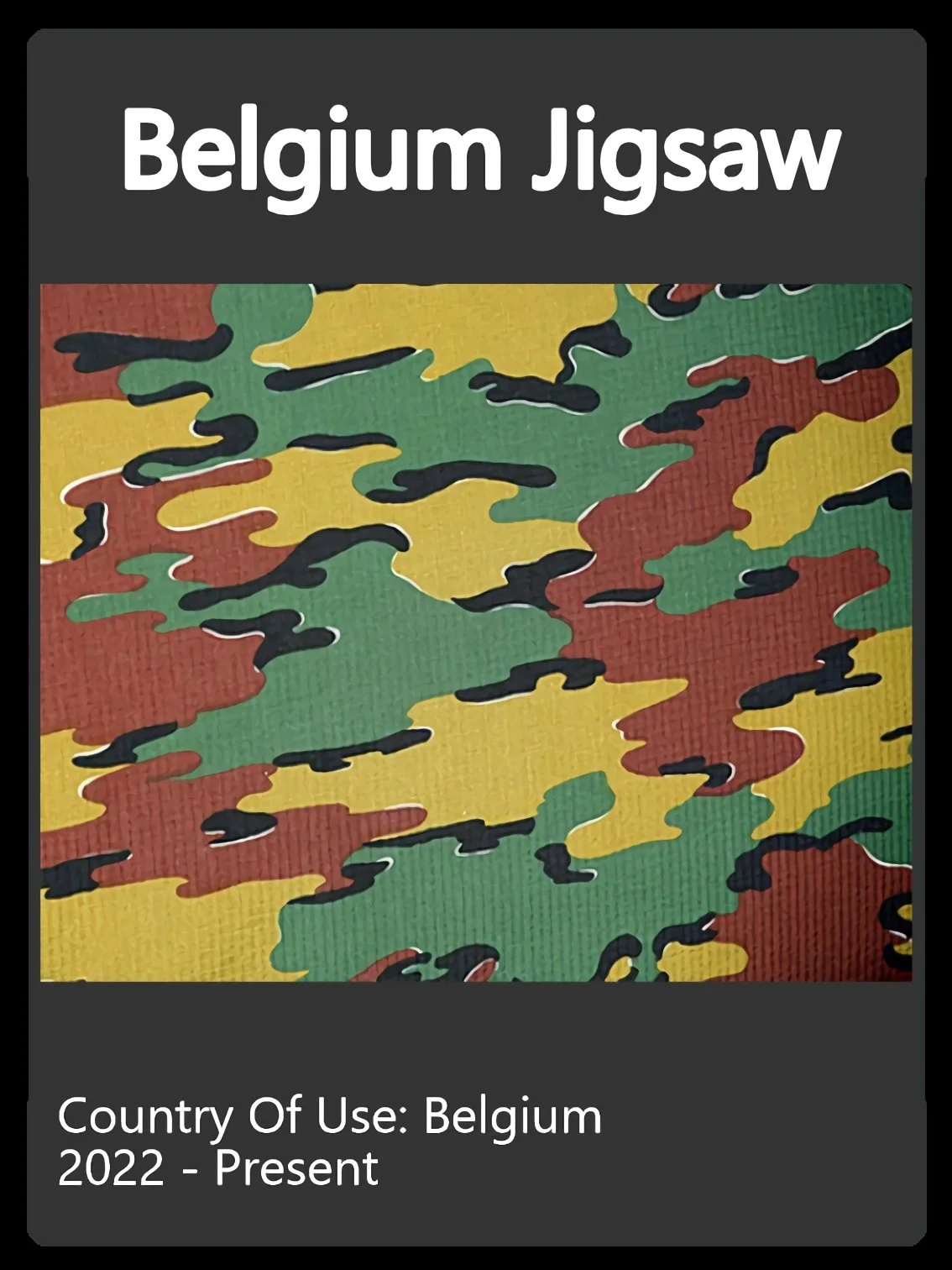 Belgium Camo Swatch.jpg