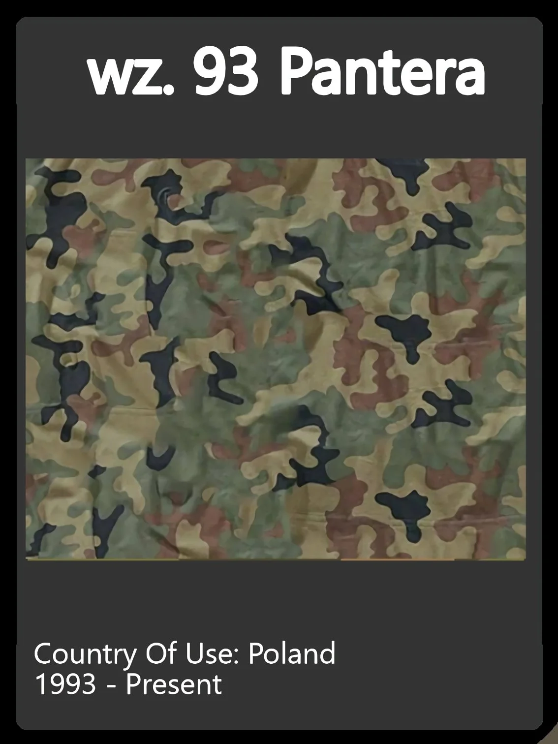Poland Camo Swatch.jpg
