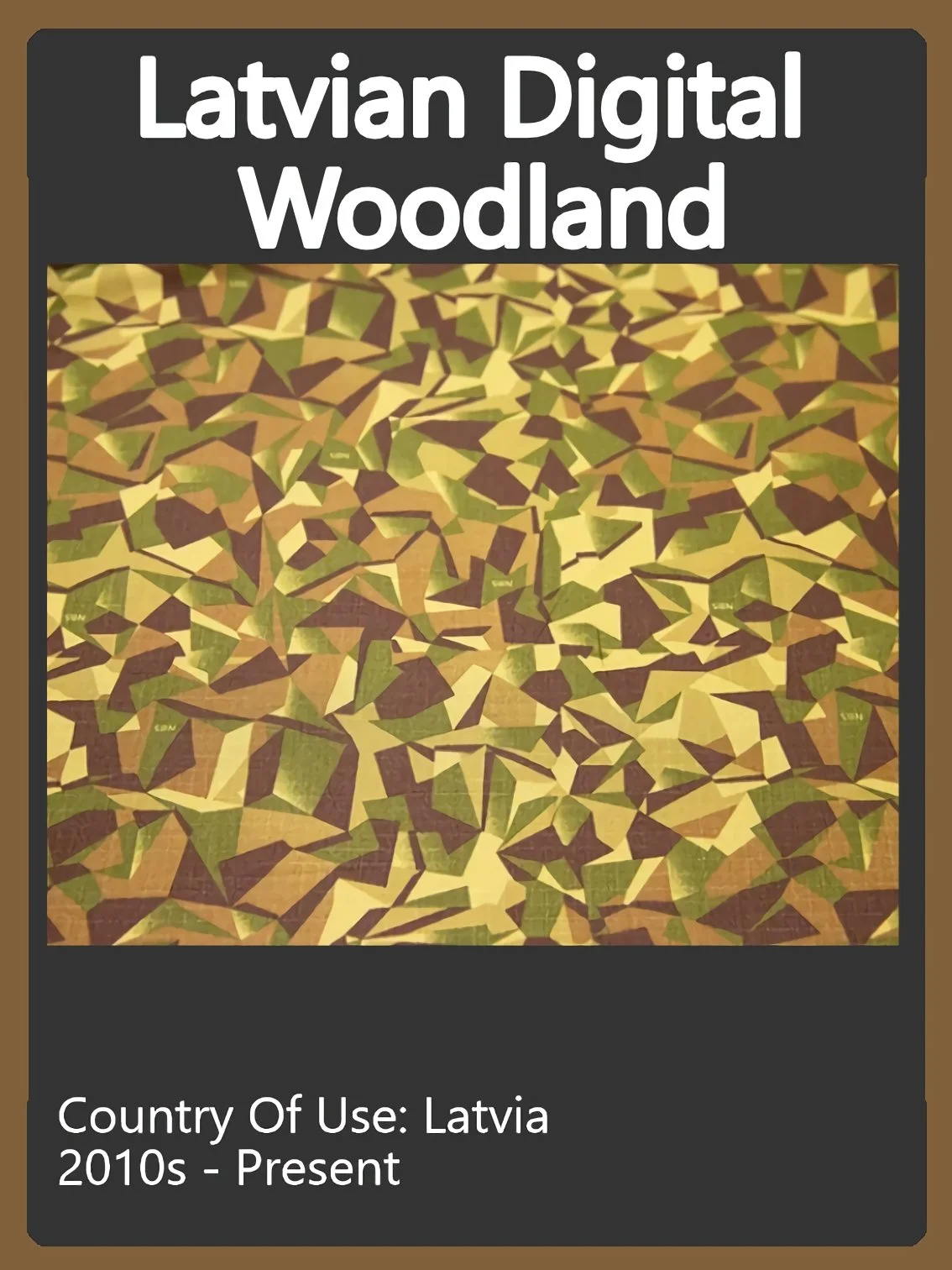 Latvia Camo Swatch.jpg