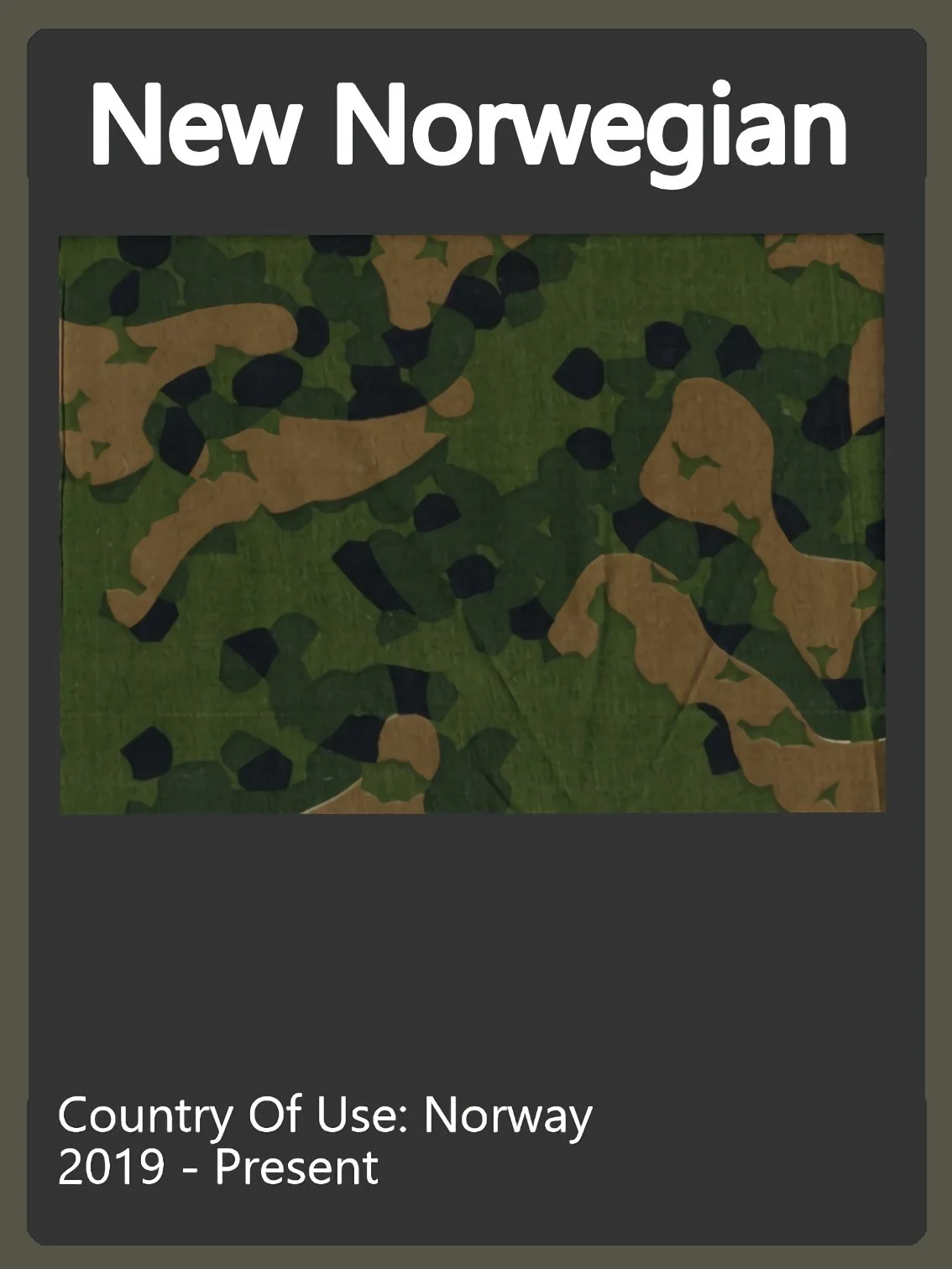 New Norwegian Camo Swatch.jpg
