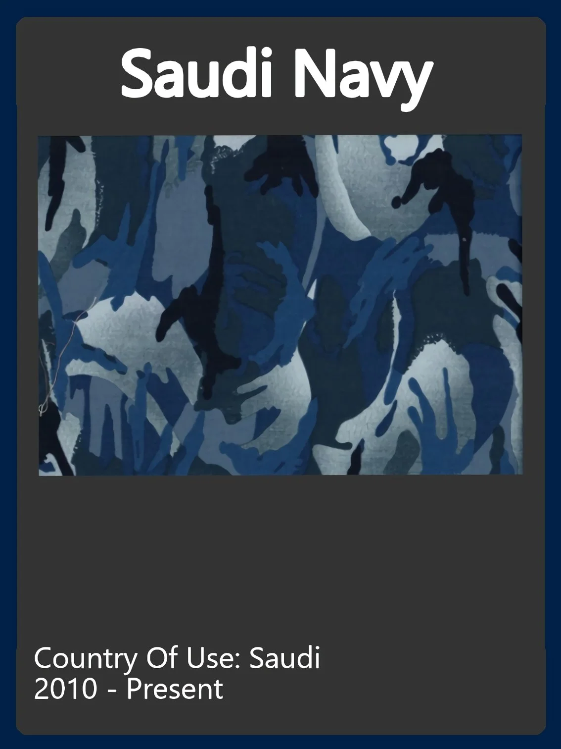 Saudi Navy Camo Swatch.jpg