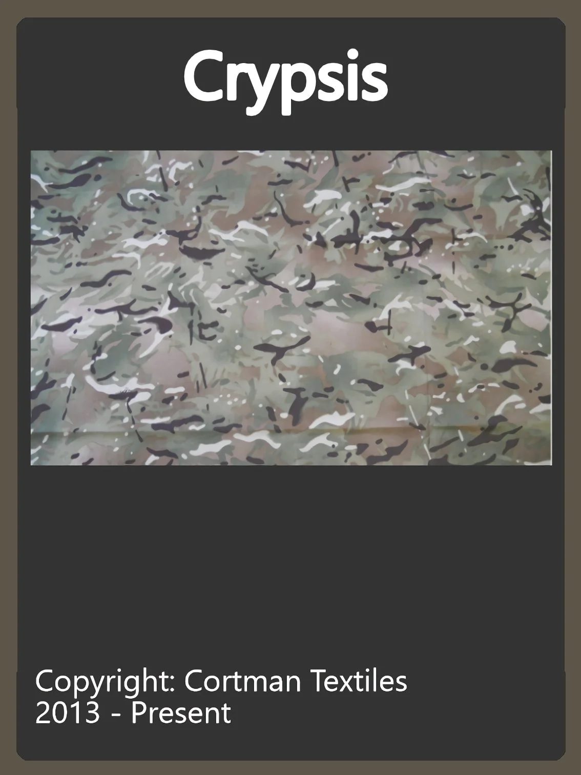 Crypsis Camo Swatch.jpg