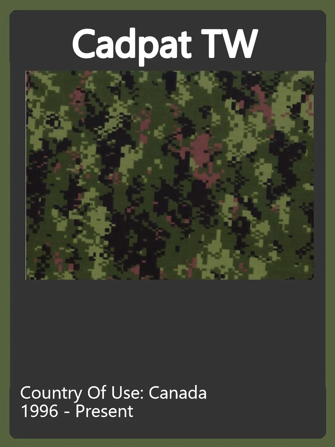 CADPAT Camo Swatch.jpg
