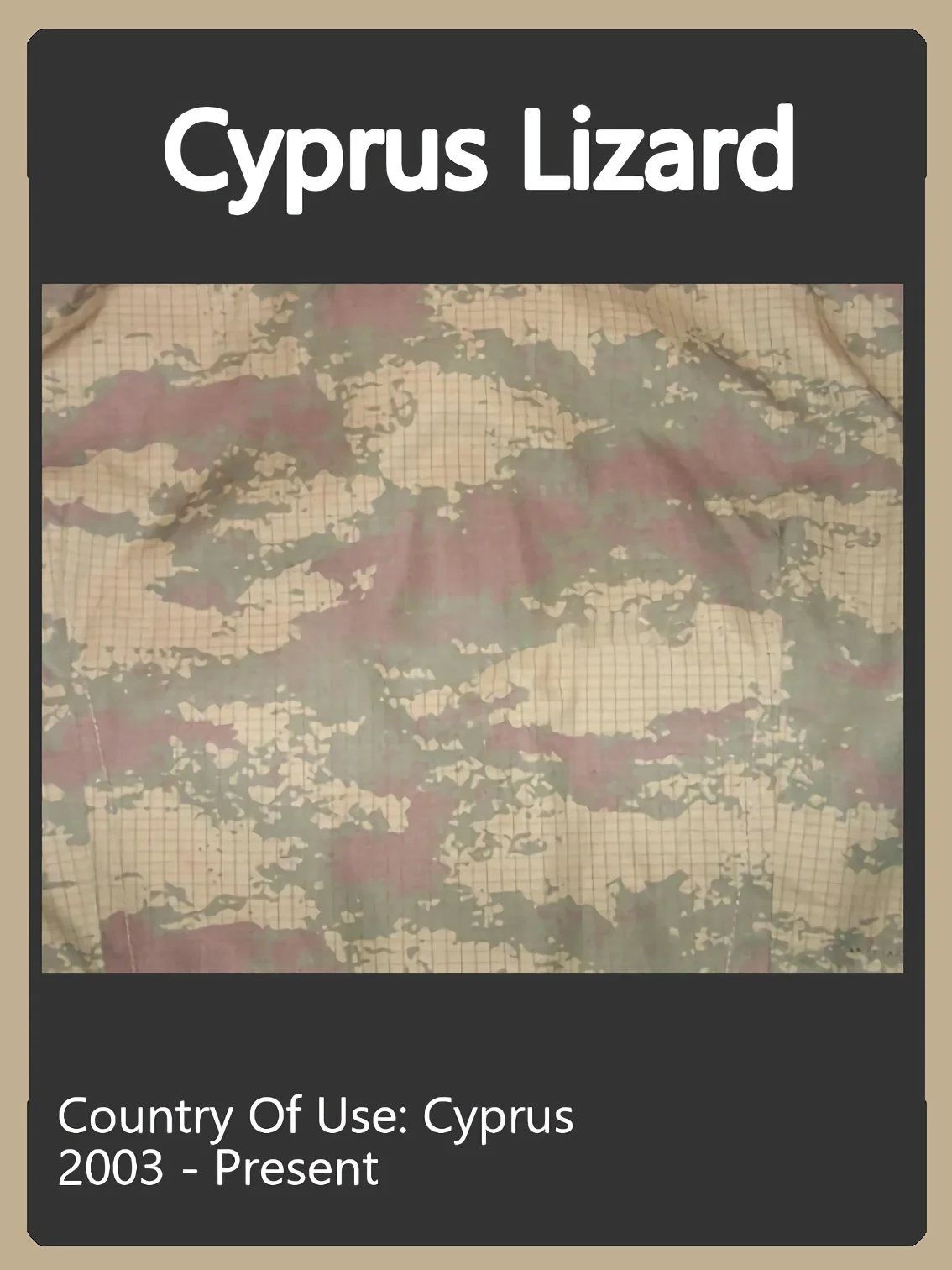 Cyprus Camo Swatch.jpg