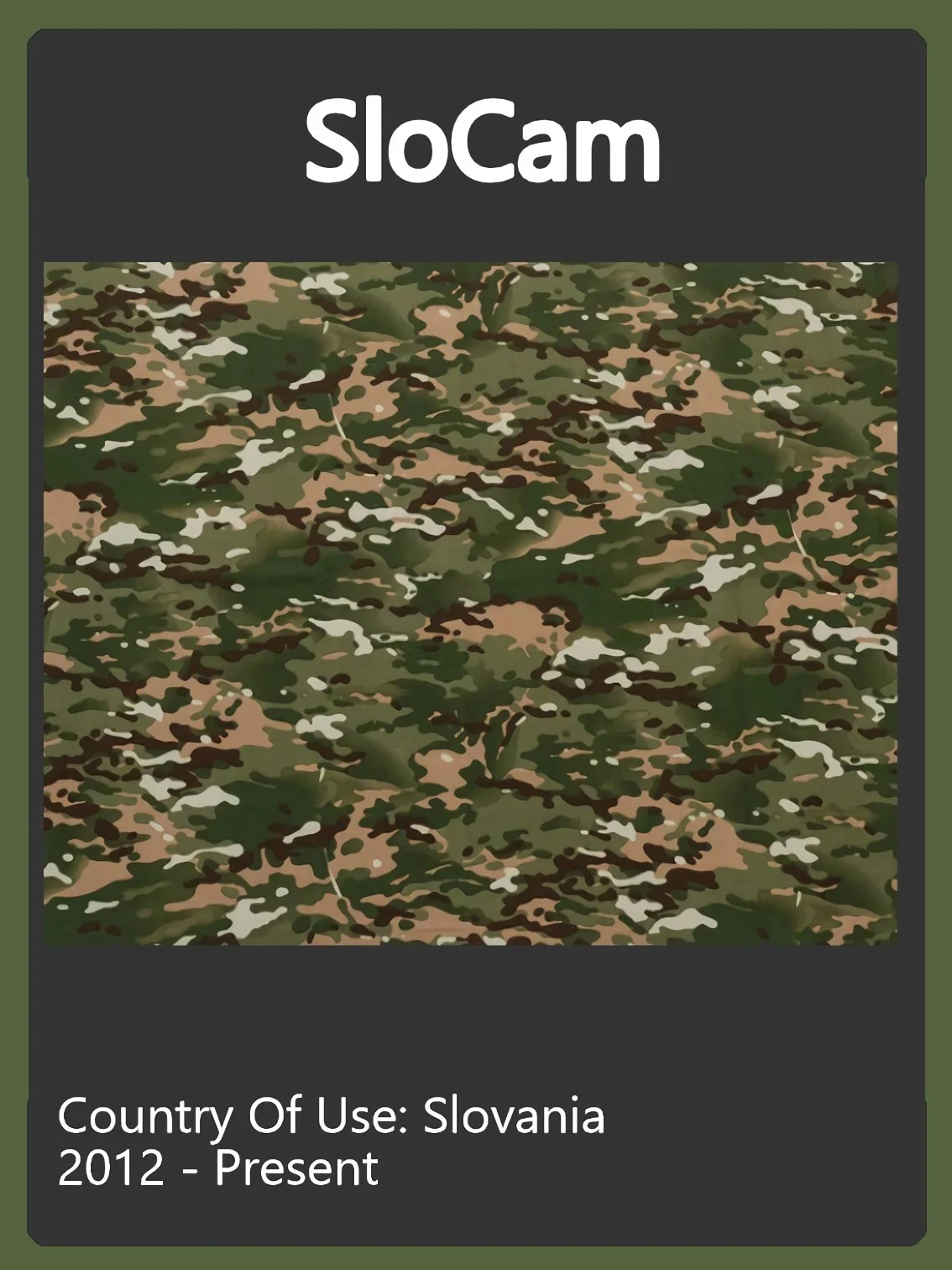 Slovania Camo Swatch.jpg