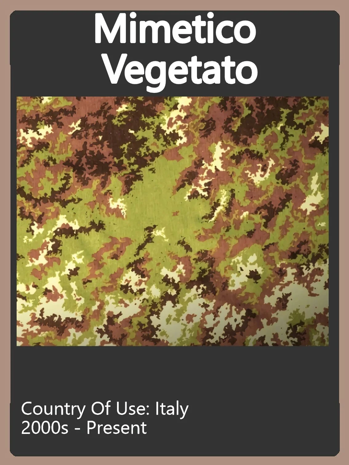 Italy Camo Swatch.jpg