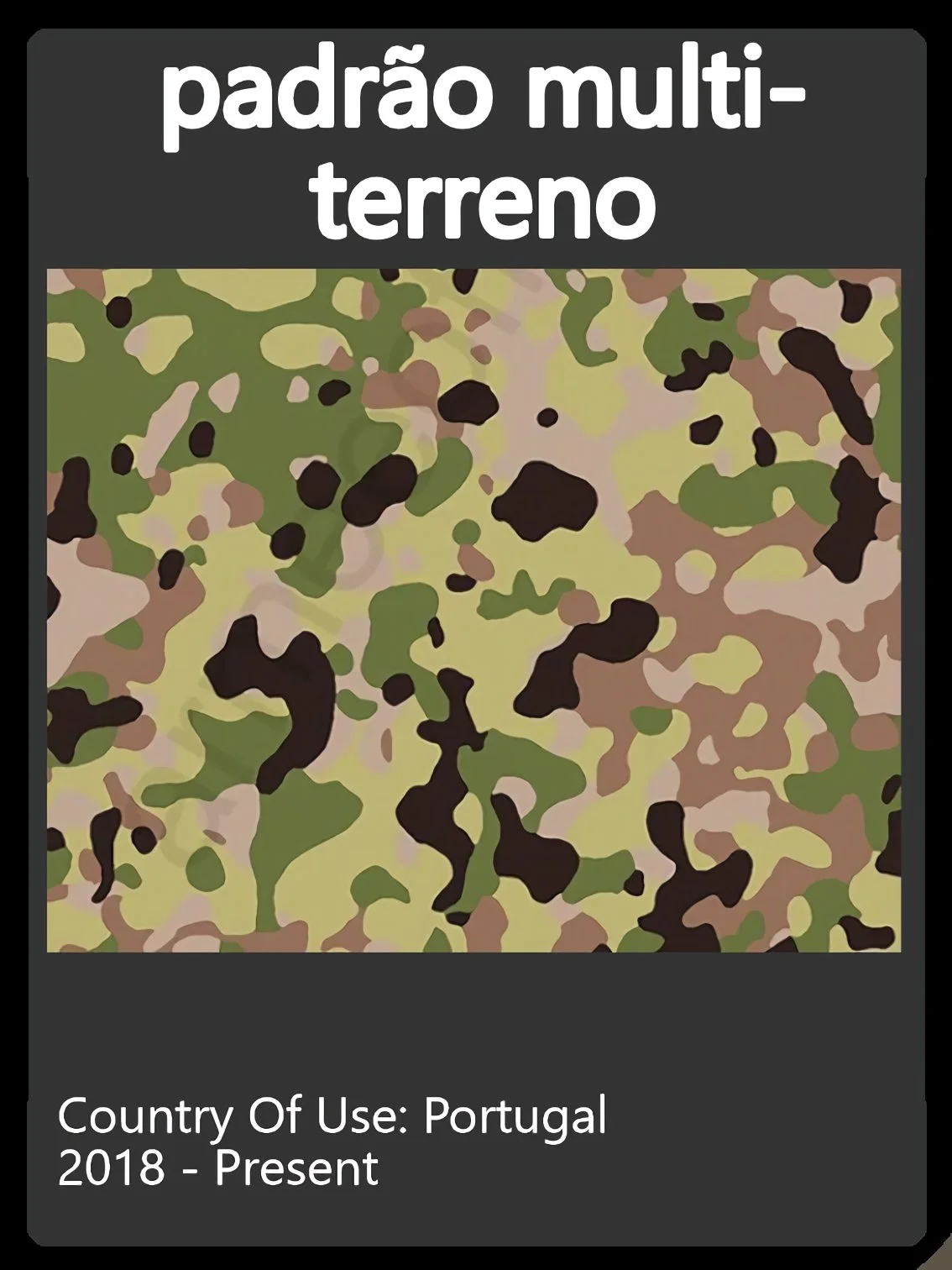 Portugal Camo Swatch.jpg