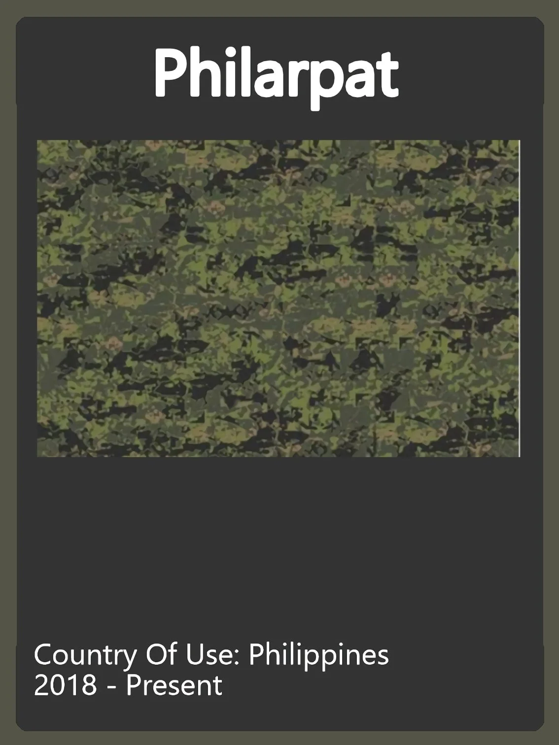 Philippines Camo Swatch.jpg