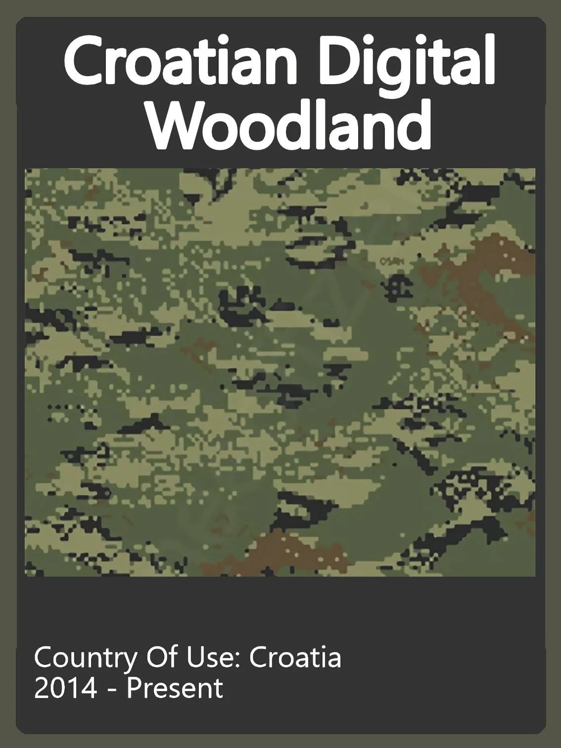 Croatia Camo Swatch.jpg